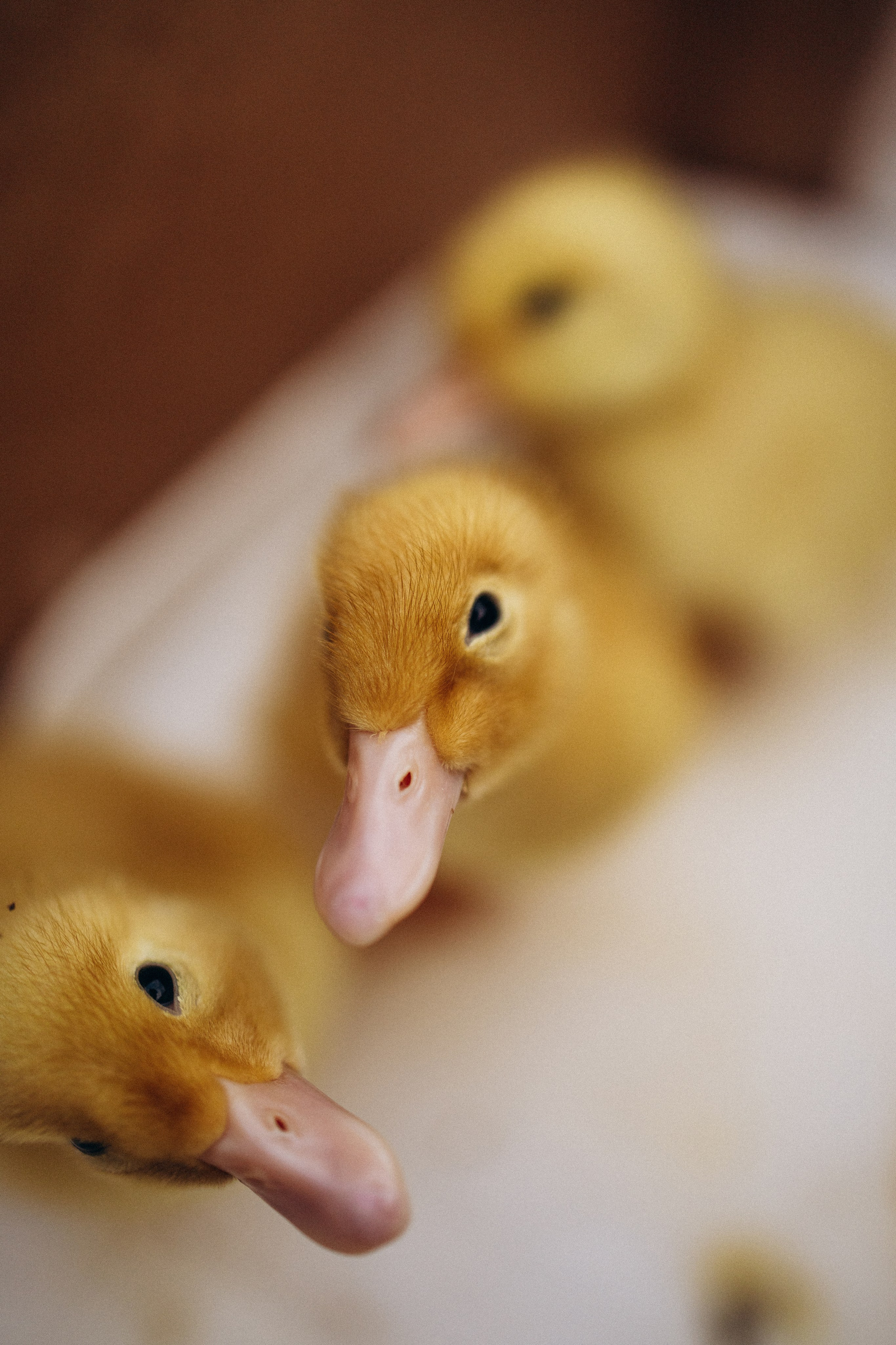 RILI. Свадебный и репортажный фотограф в Омске. Червоткин Никита