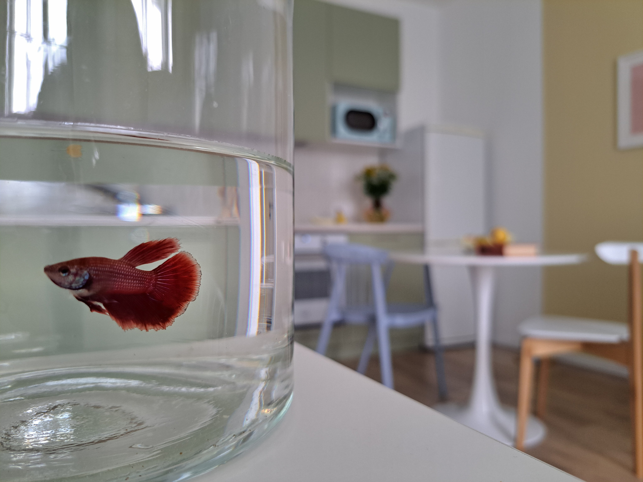 Г. Екатеринбург, ЖК «Современник». Хоумстейджинг и дизайн. Екатеринбург