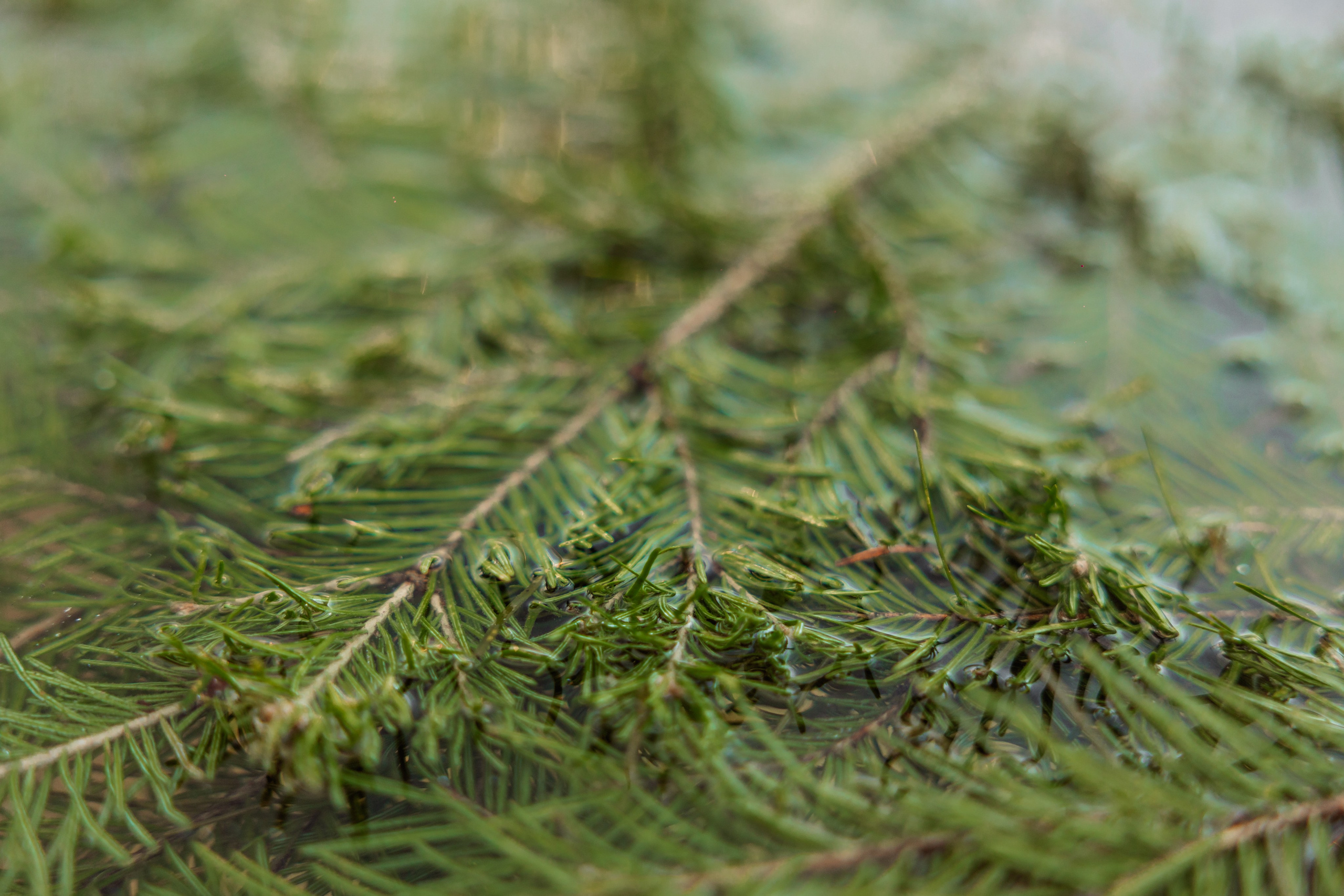 KUKSA|ТО, ЧТО ТЕБЯ СОГРЕВАЕТ|Кело-баня на дровах, г. Коломна. ФОТОГРАФ ИРИНА ШАМАТАВА