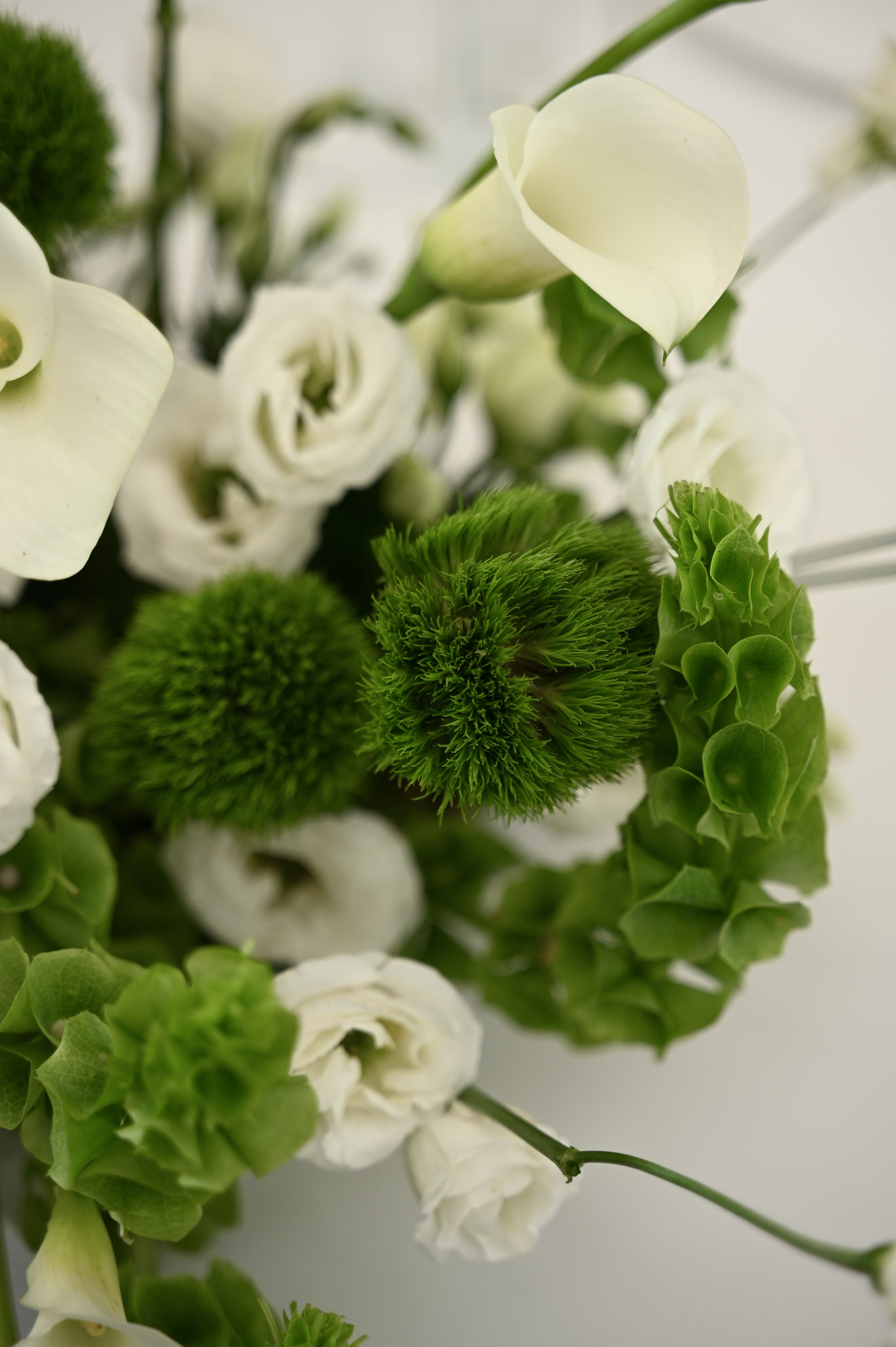 Ринат & Альбина. Свадебный и семейный фотограф в Уфе Александров Максим