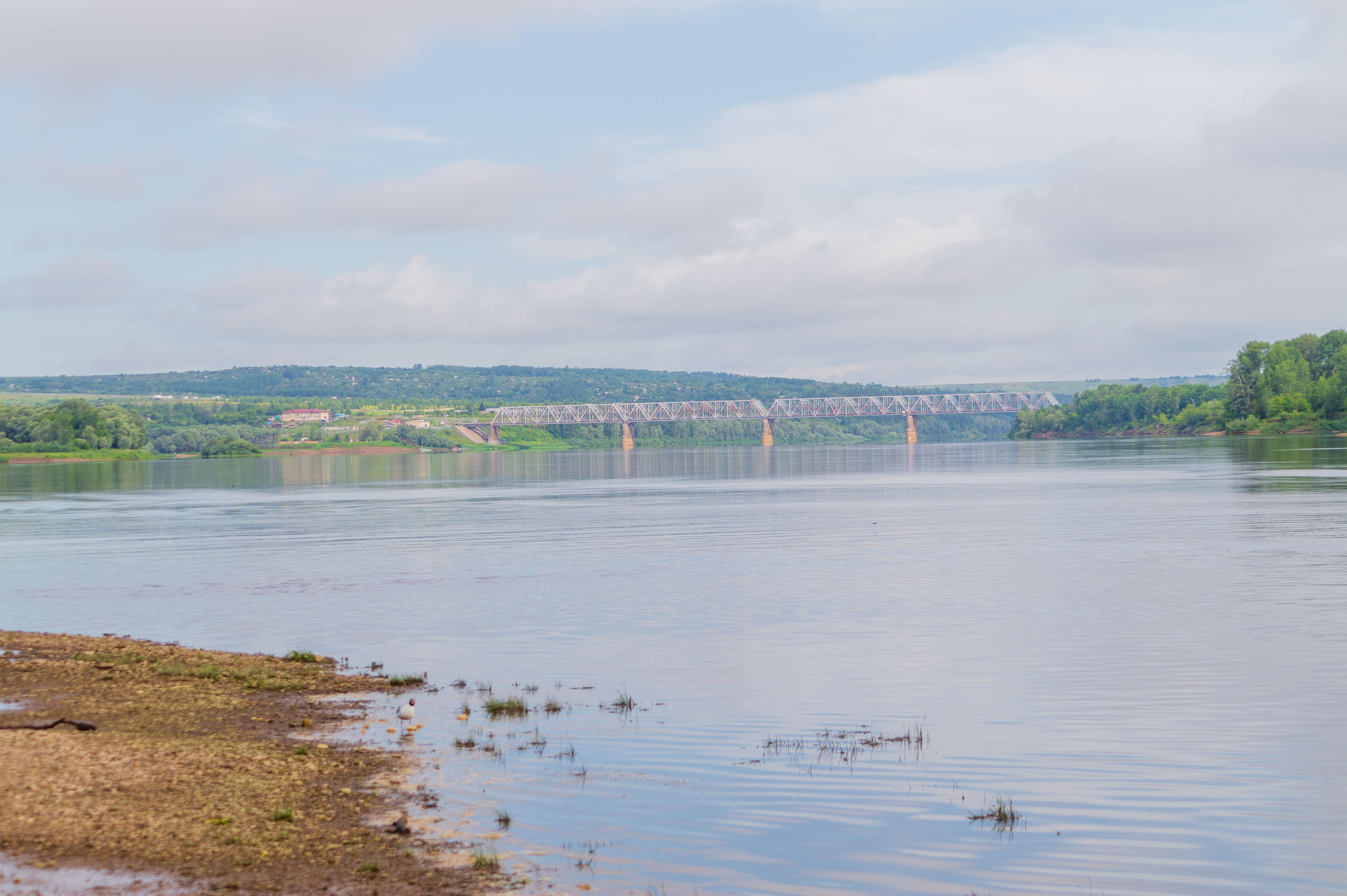 Г. Вятские Поляны лето 2025. Портретный и семейный фотограф Санкт-Петербург