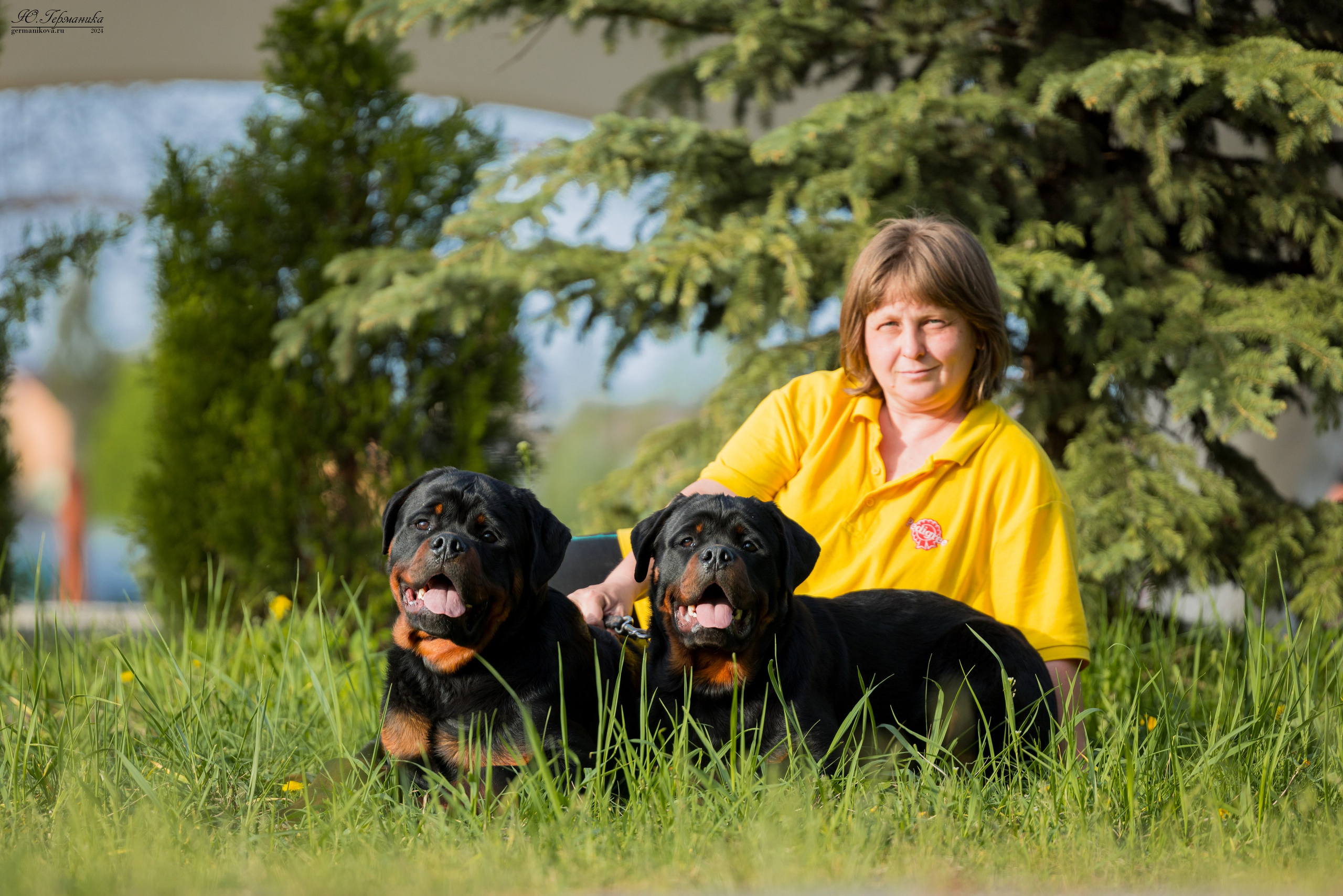 Саратов 2 х моно ротвейлеров 28-29.04.2024. Фотограф-анималист Юлия Германика