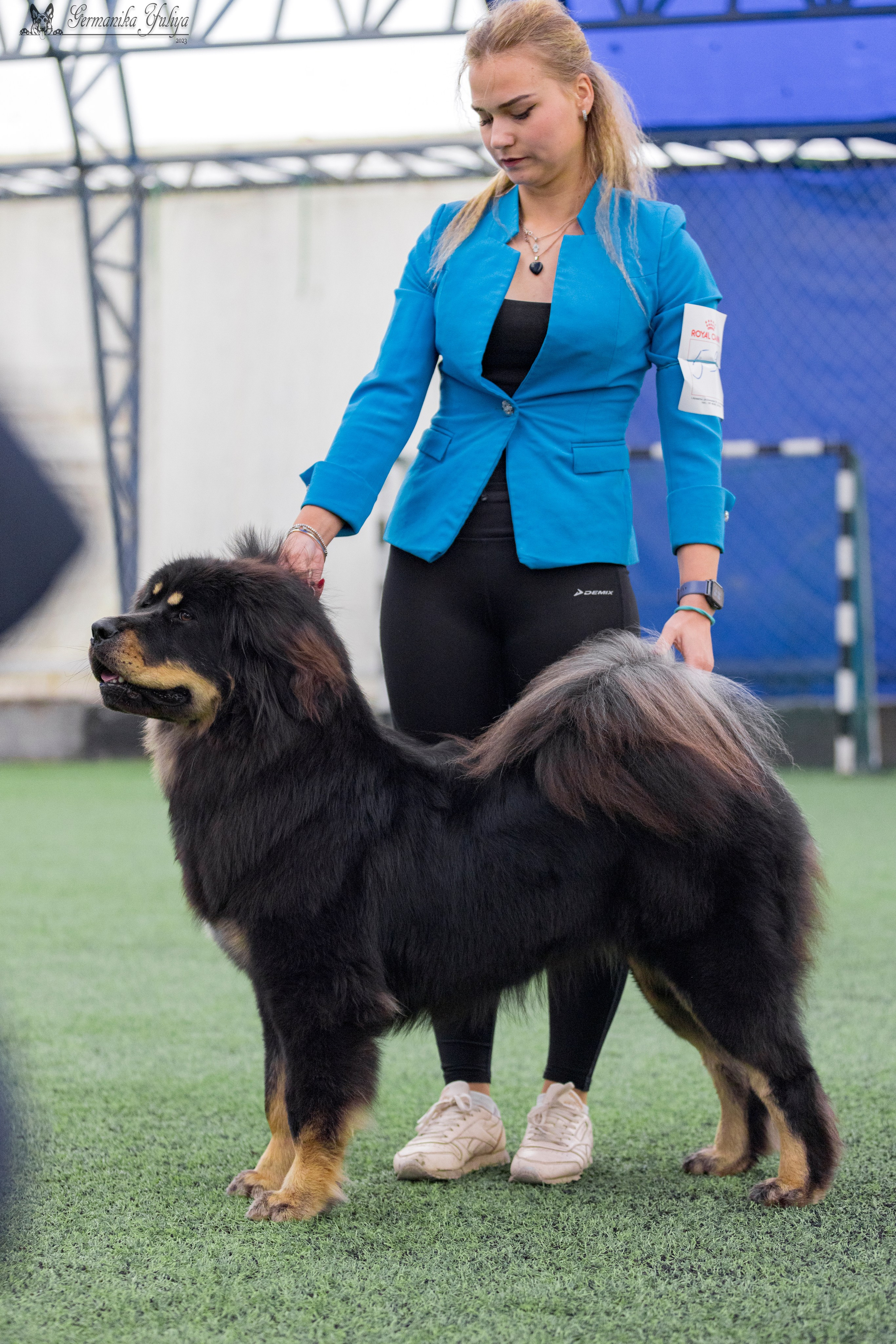 Ташкент 6-8.10.2023 + Алматы 14-15.10.2023. Фотограф-анималист Юлия Германика