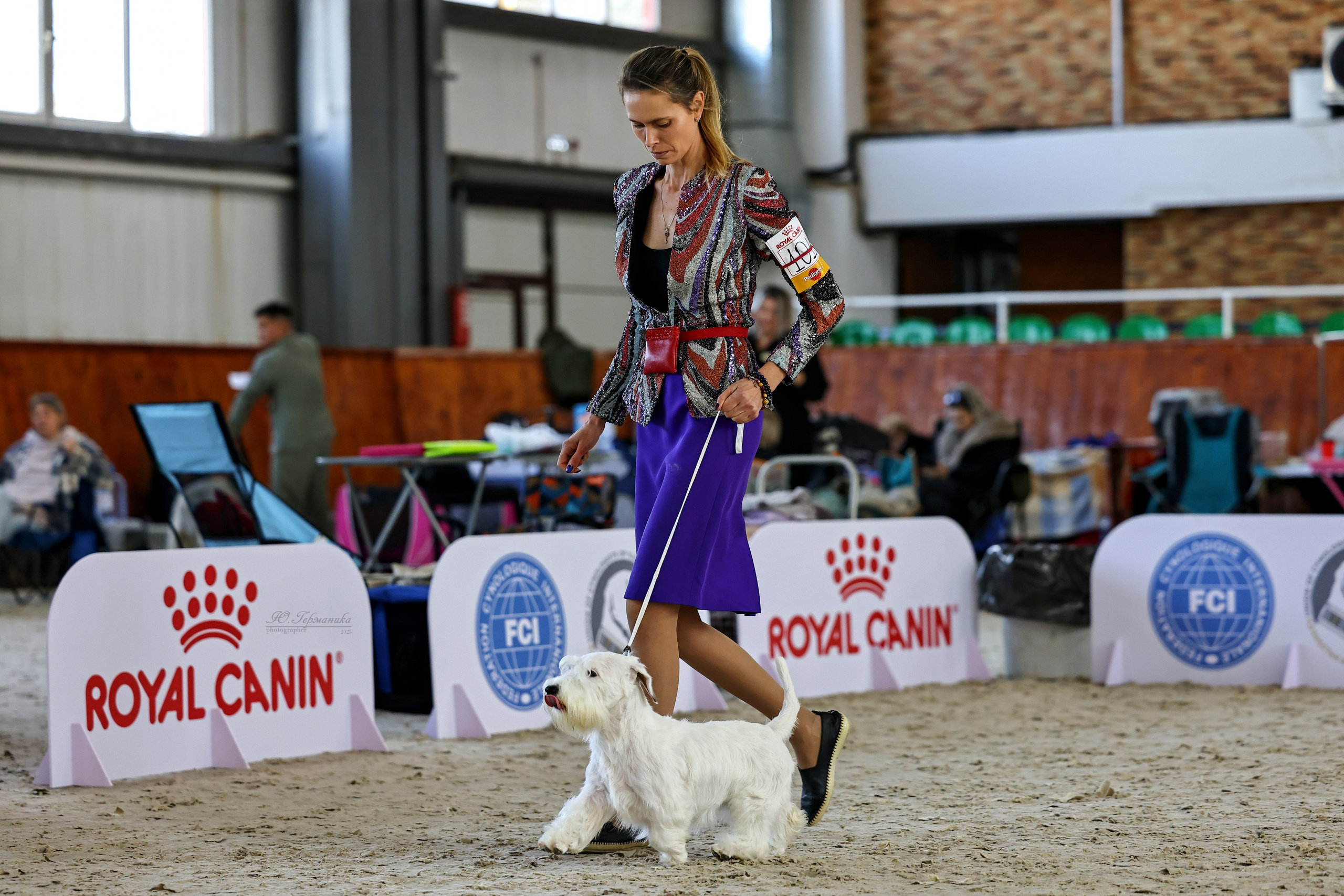 Астана 2хCACIB 26-28.09.2025. Фотограф-анималист Юлия Германика