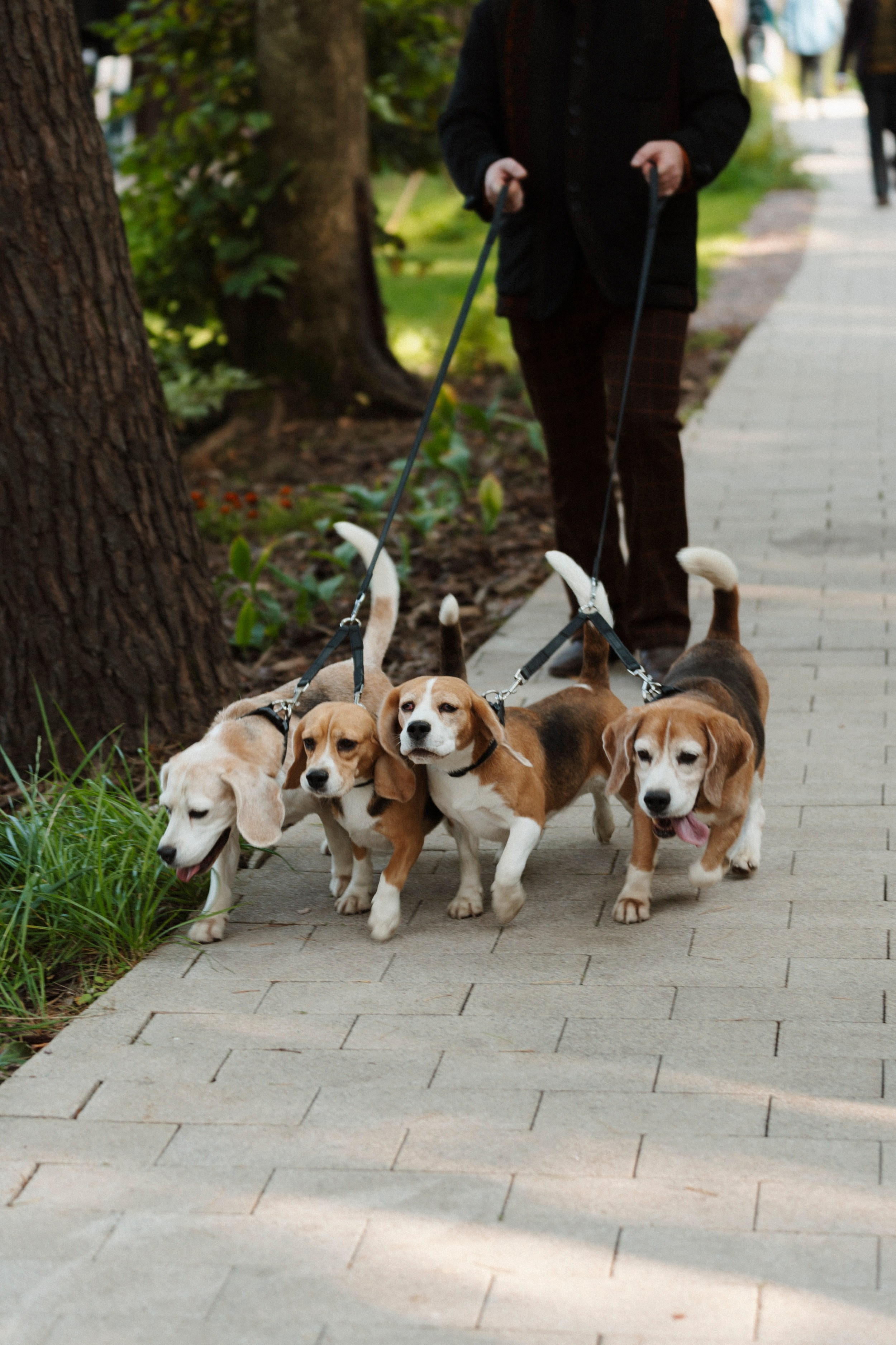 HUNTING SEASON/ LIGASTAVOK. Фотограф первого впечатления