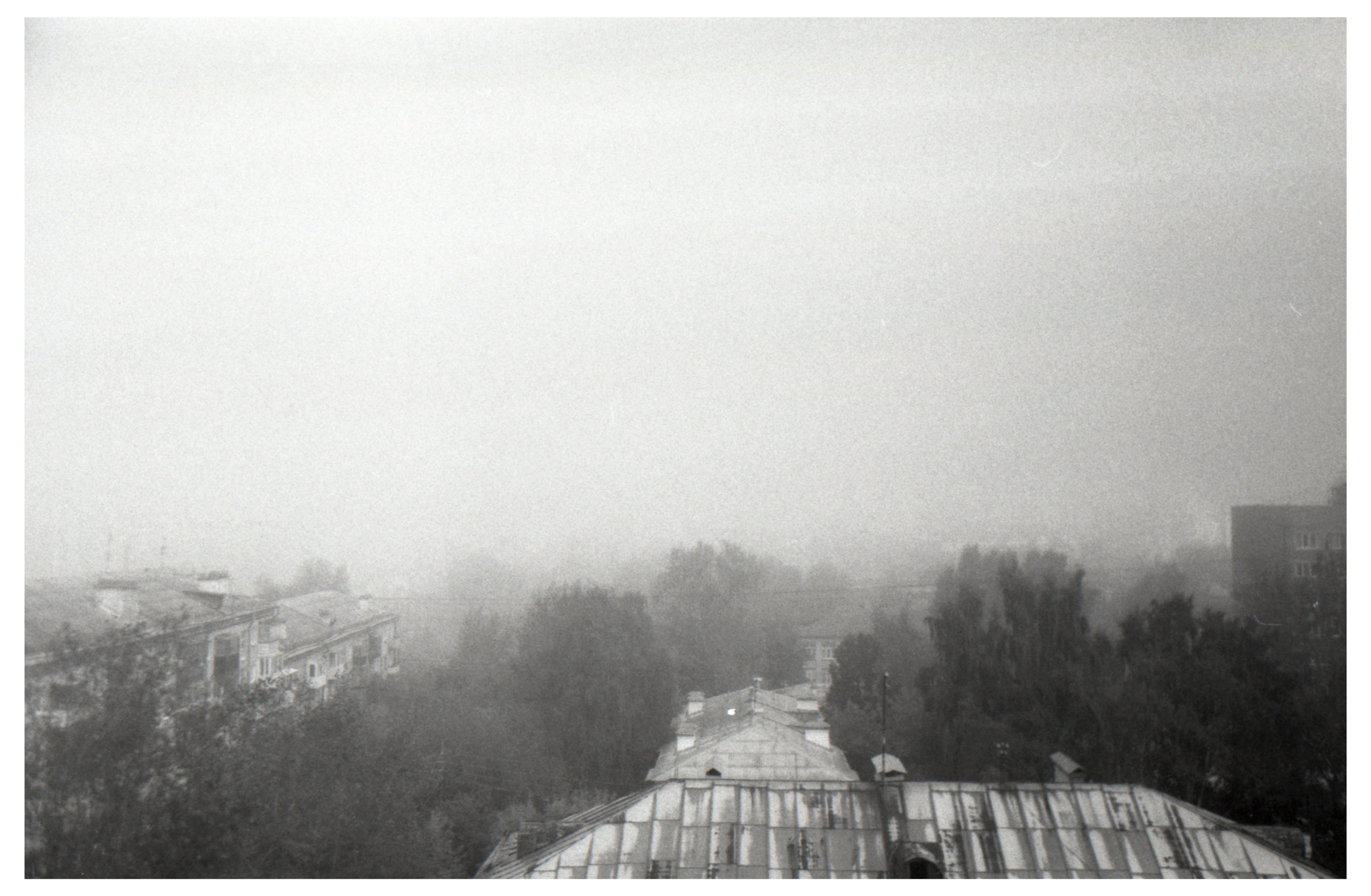 Туман осенью 2024