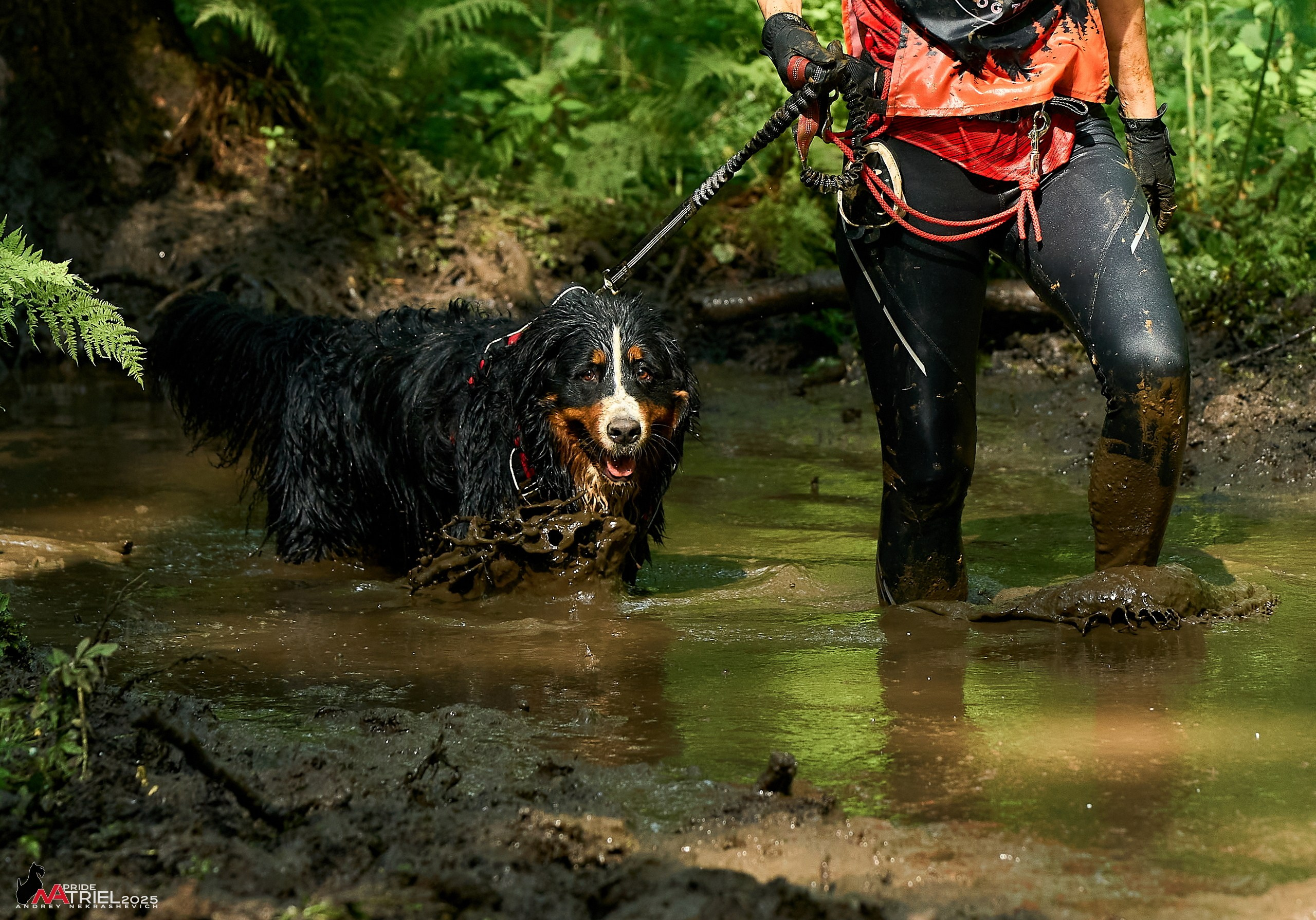 Russian Extreme Dog Trail — 2025
