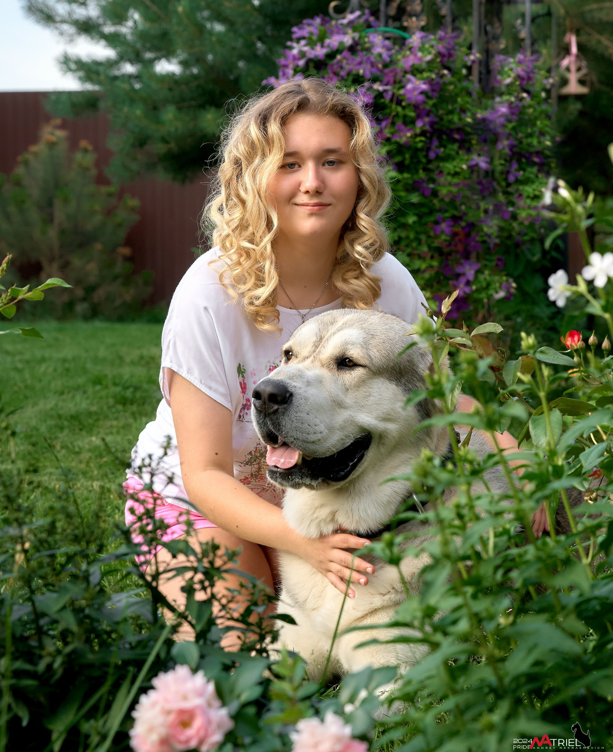 Съемка собак с выездом к Вам в дом