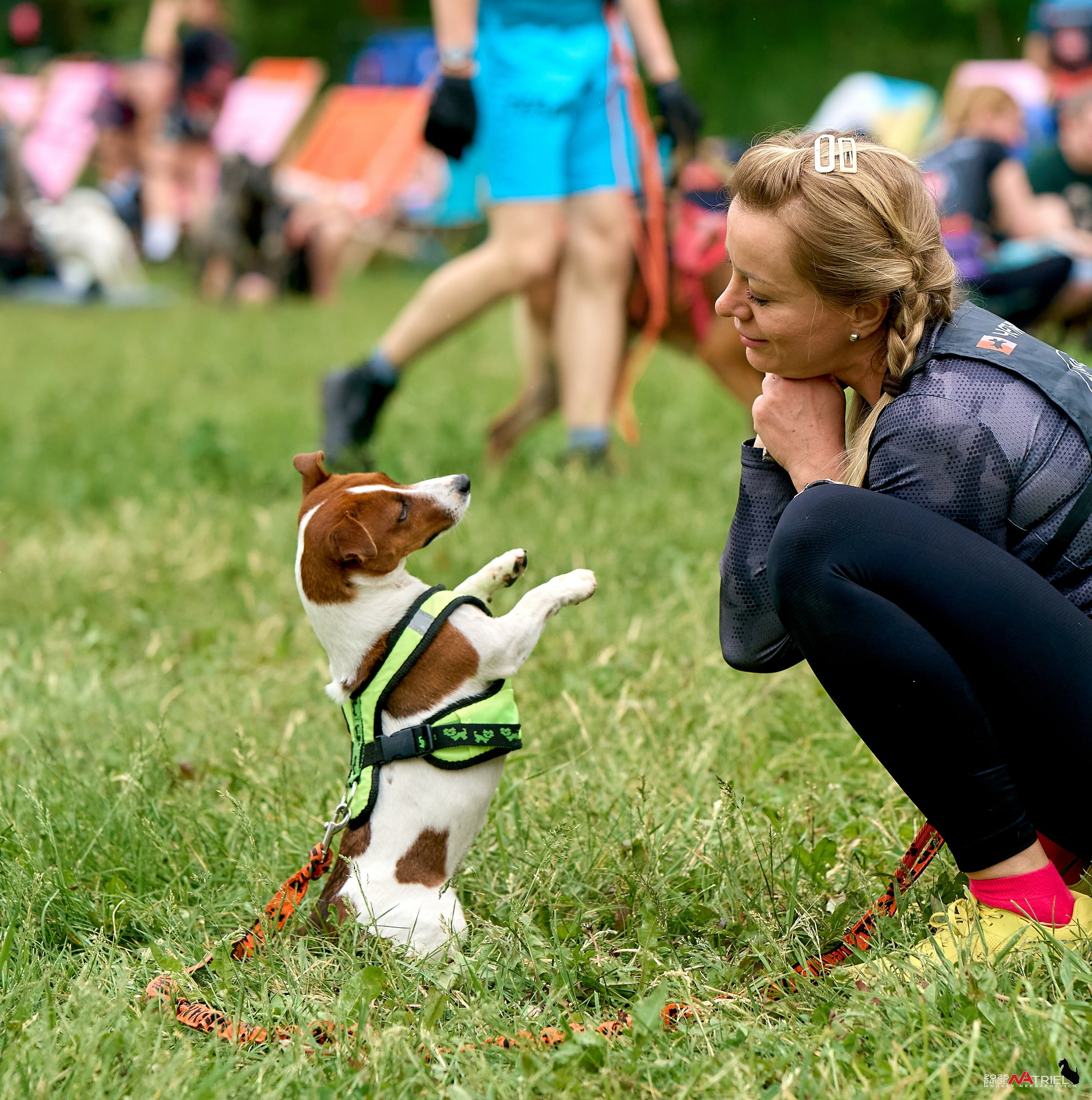 Russian Extreme Dog Trail — 2025