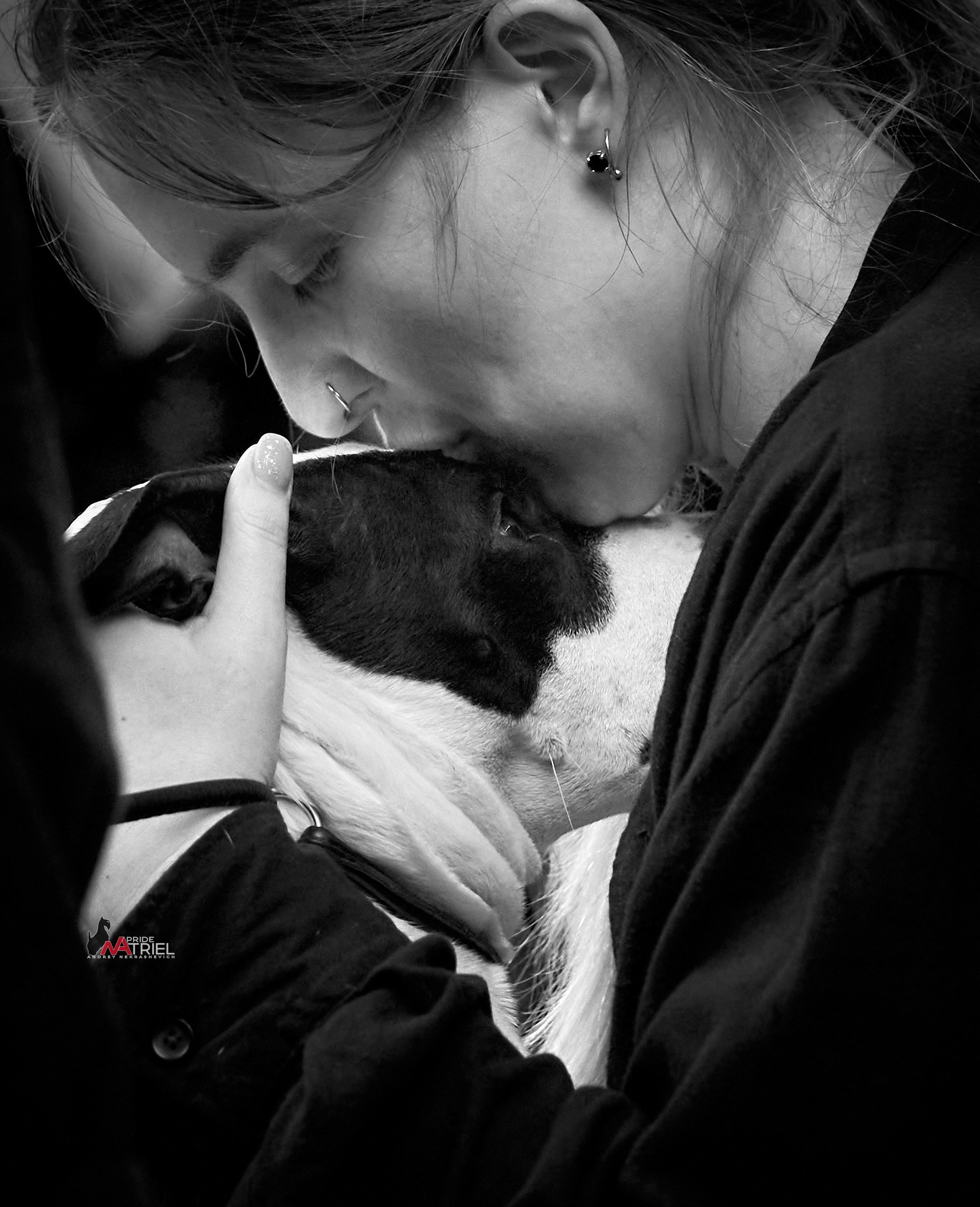 Собаки и Люди — галерея NATRIEL