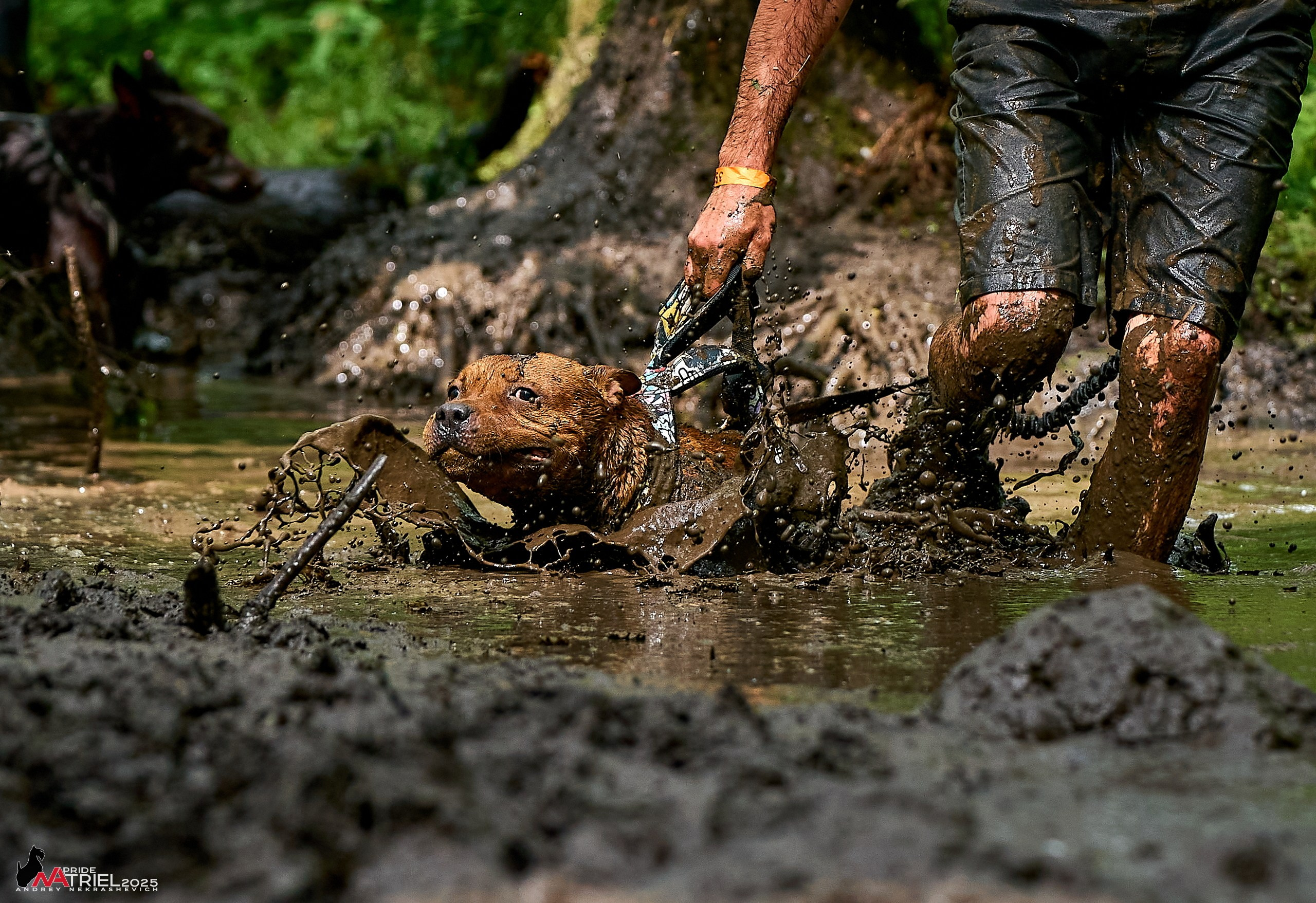 Russian Extreme Dog Trail — 2025