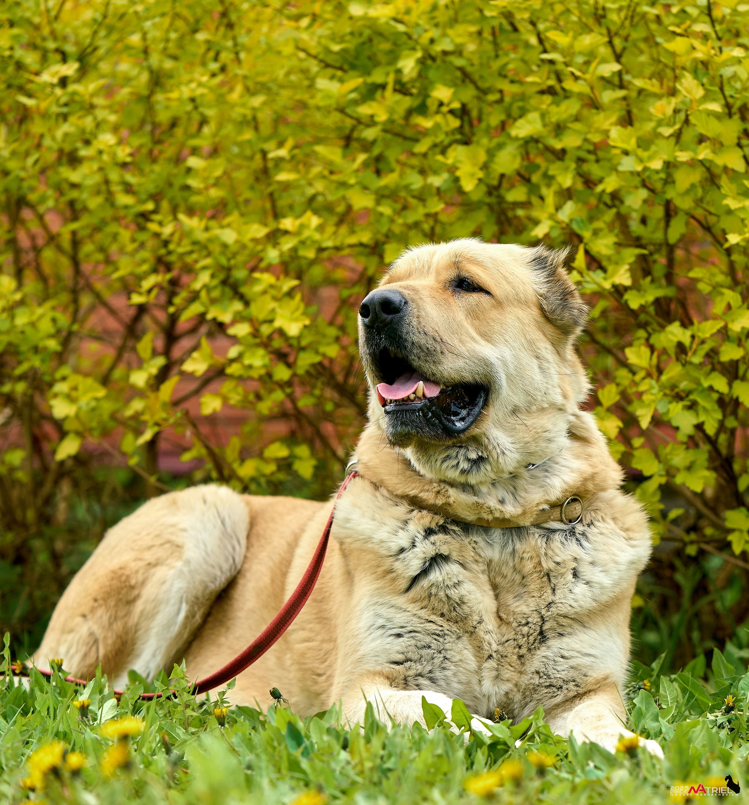 Съемка в питомнике