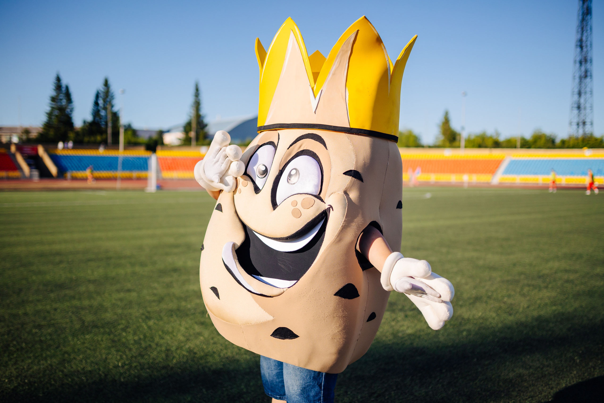 ФК «Металлург-Магнитогорск» — ФК «Ильпар» // 19.07.25. Денис Прохоров Фотограф в г. Магнитогорск