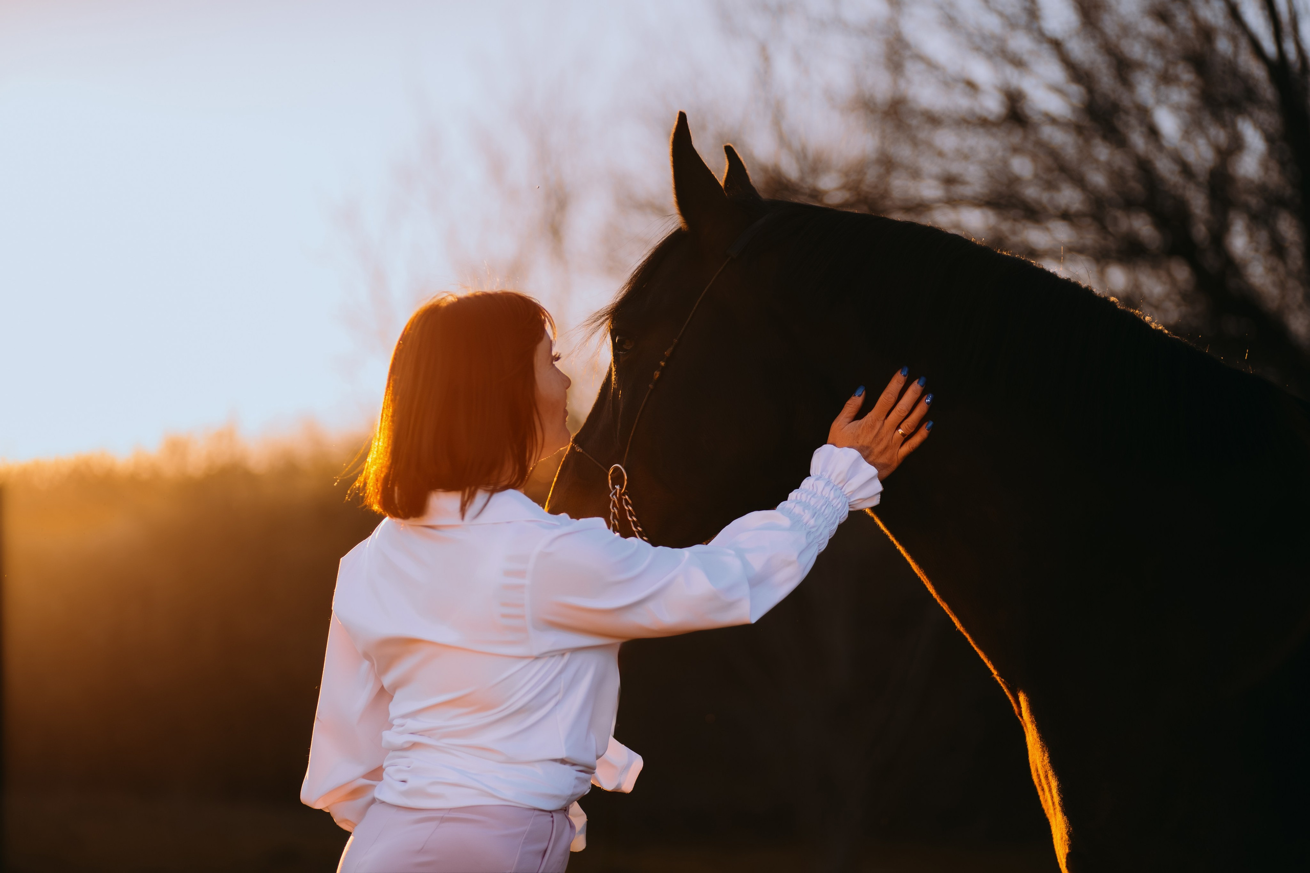 Лена и Сархан. Фотограф-анималист Ксендзова Кристина