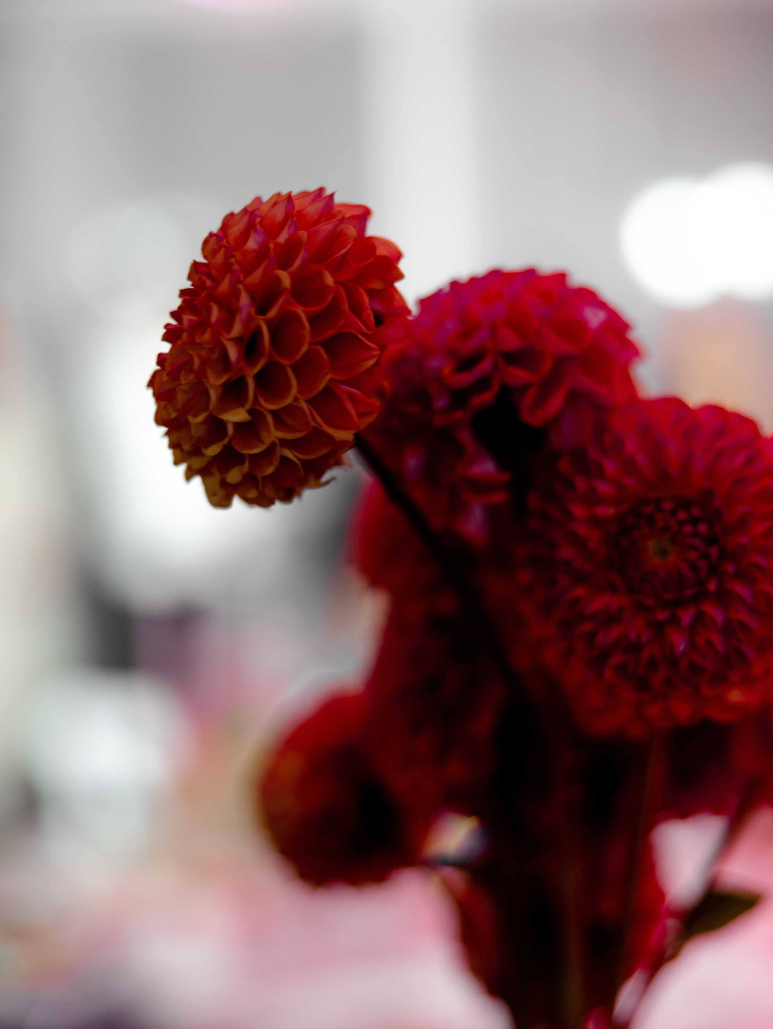 Надя и Сергей. Свадебный фотограф в Москве Топтыгин Иван