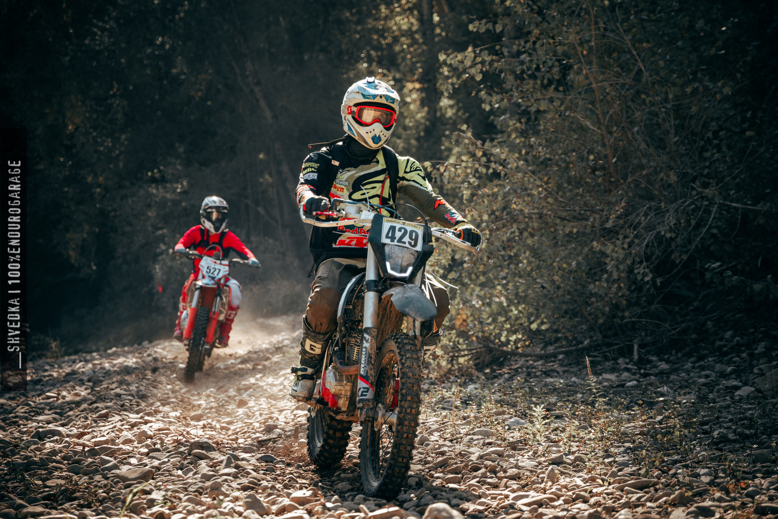 2 лесной день. Ваш экстрим фотограф Кудрева Яна