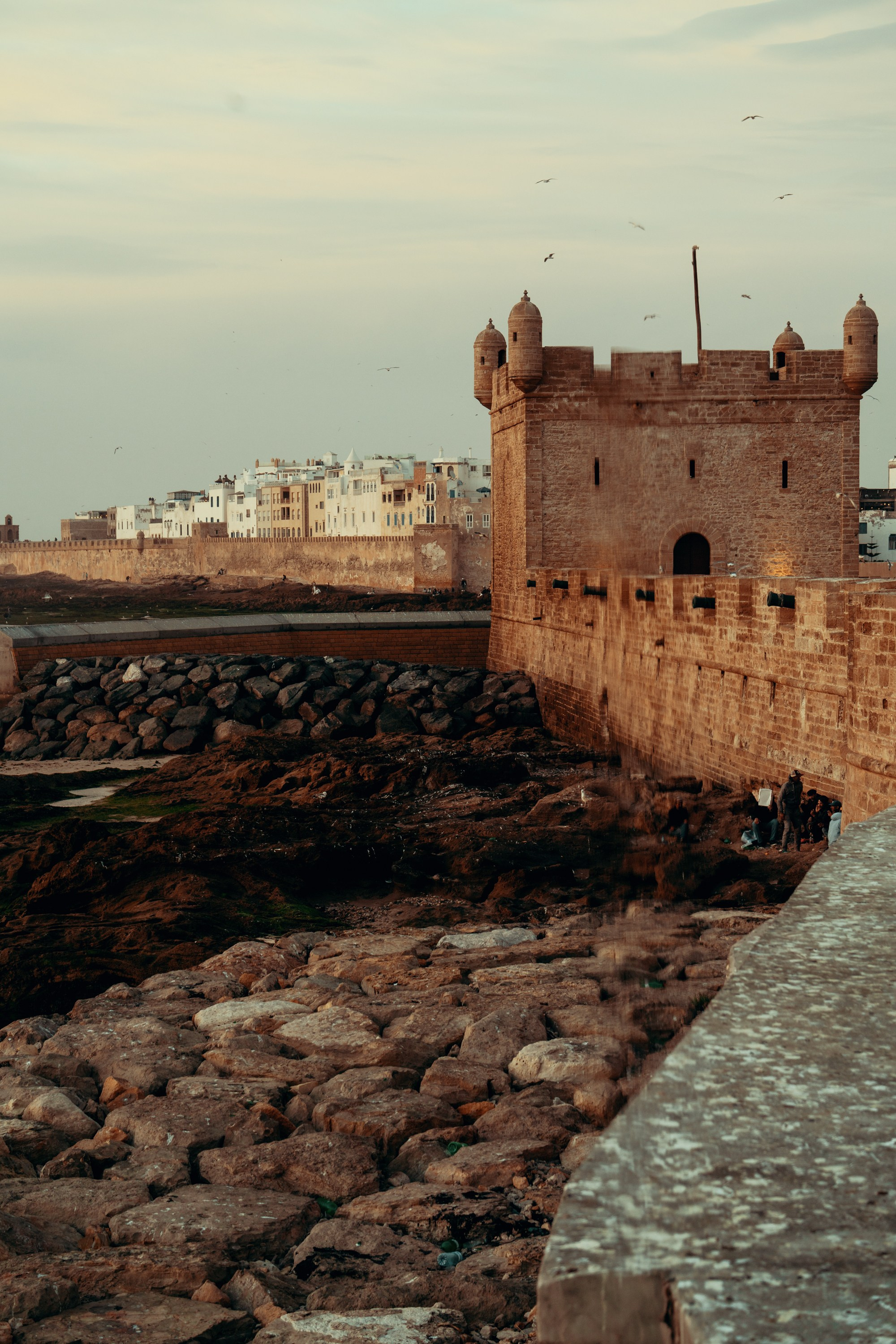 Северная Африка: Тунис, Марокко. Фотограф в Хабаровске. Фотография за 24 часа