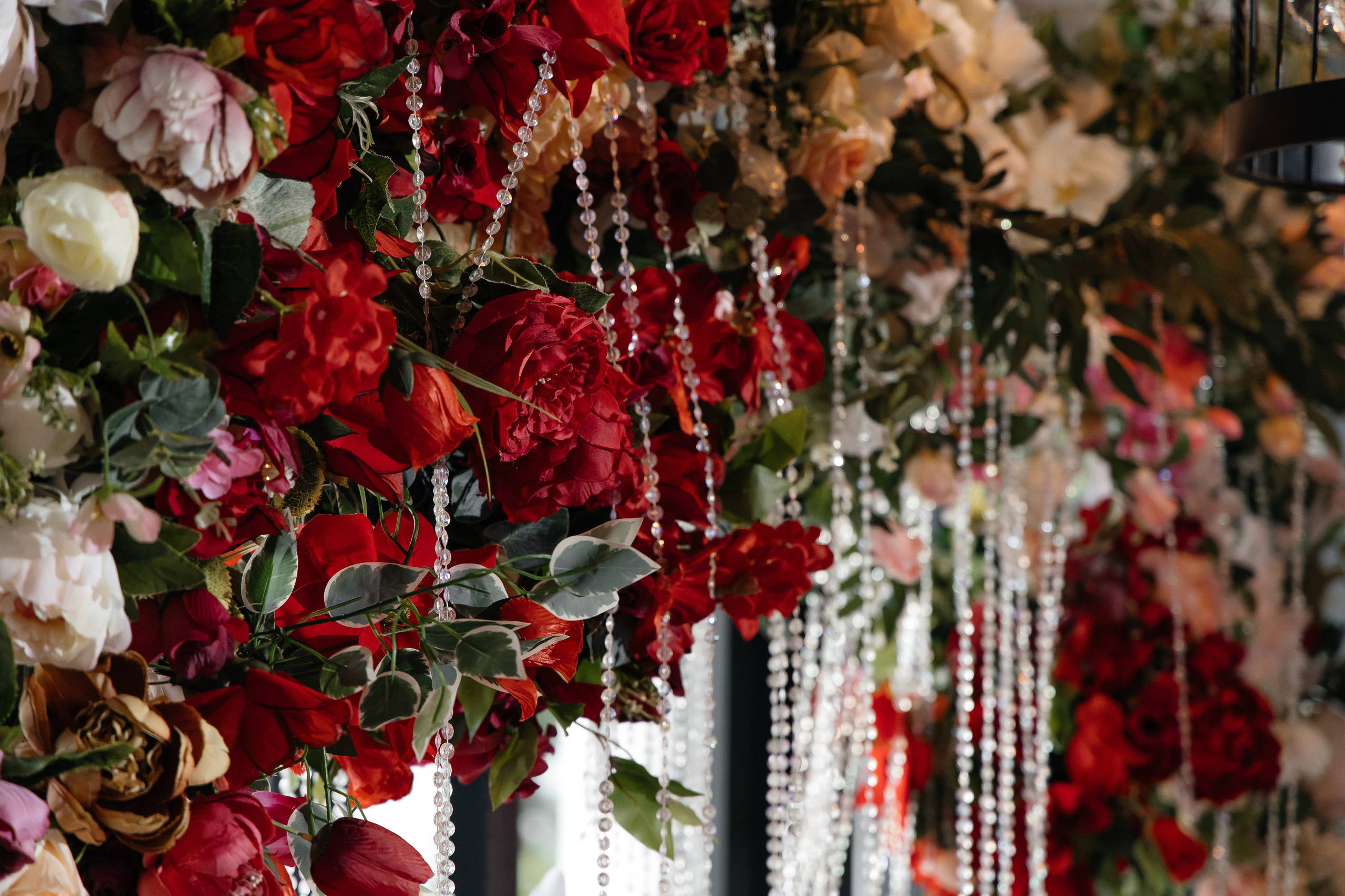 И&И. Фотограф Таганрог Хребет София