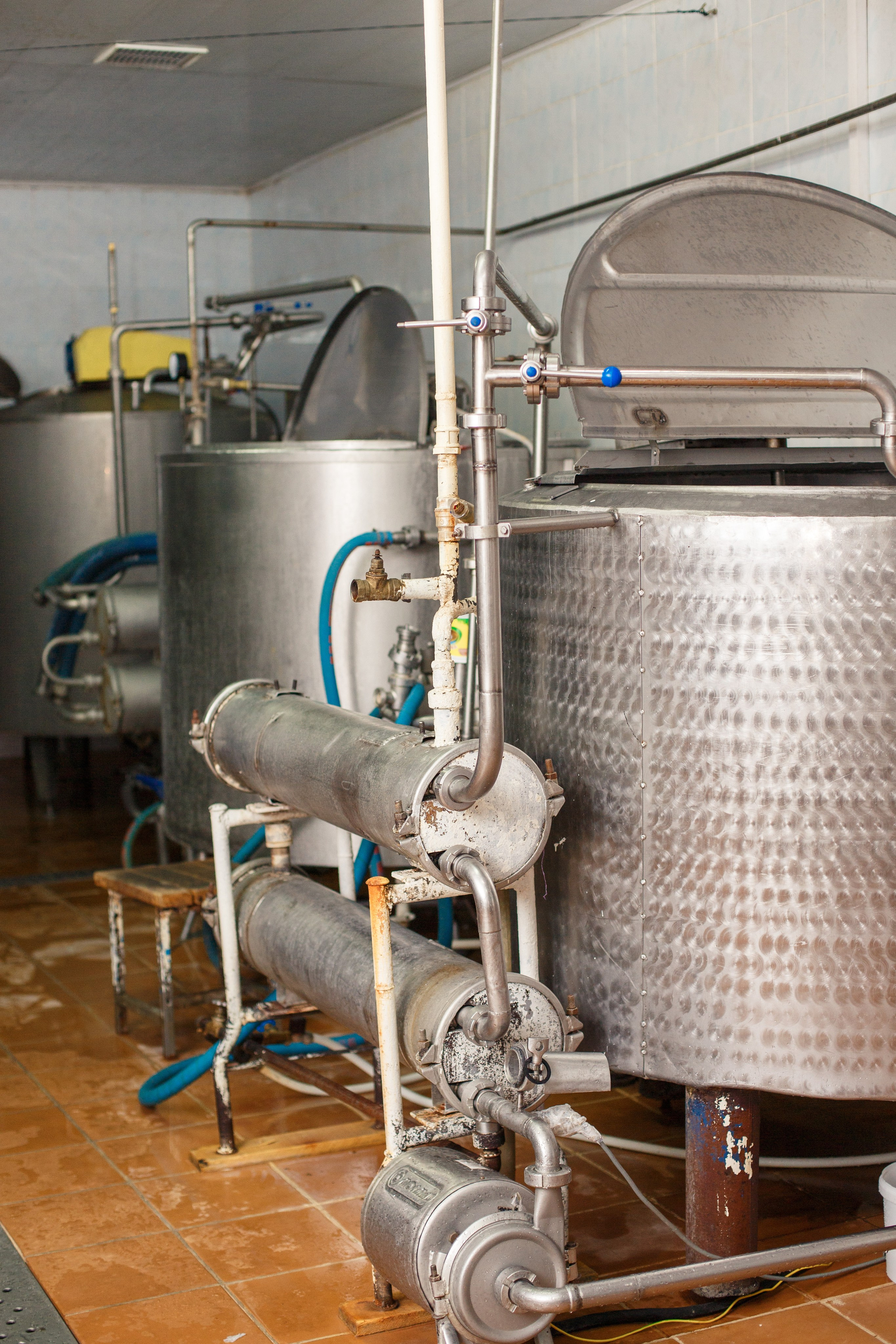 Шатурский Агропромышленный комбинат. Деловая и Бизнес съемка в  Москве Инесса Грушко