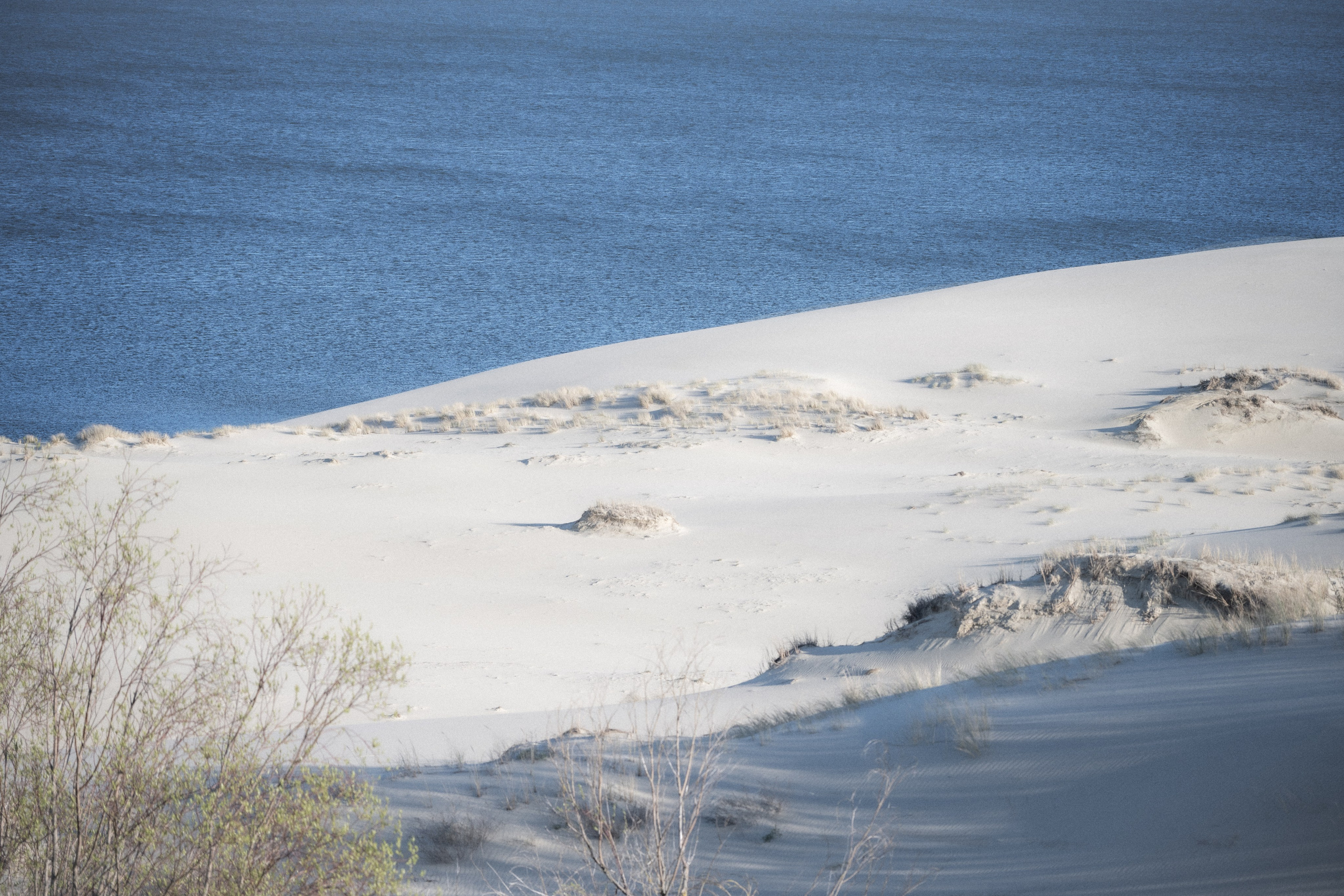 Калининград. Видение Константина Борунова