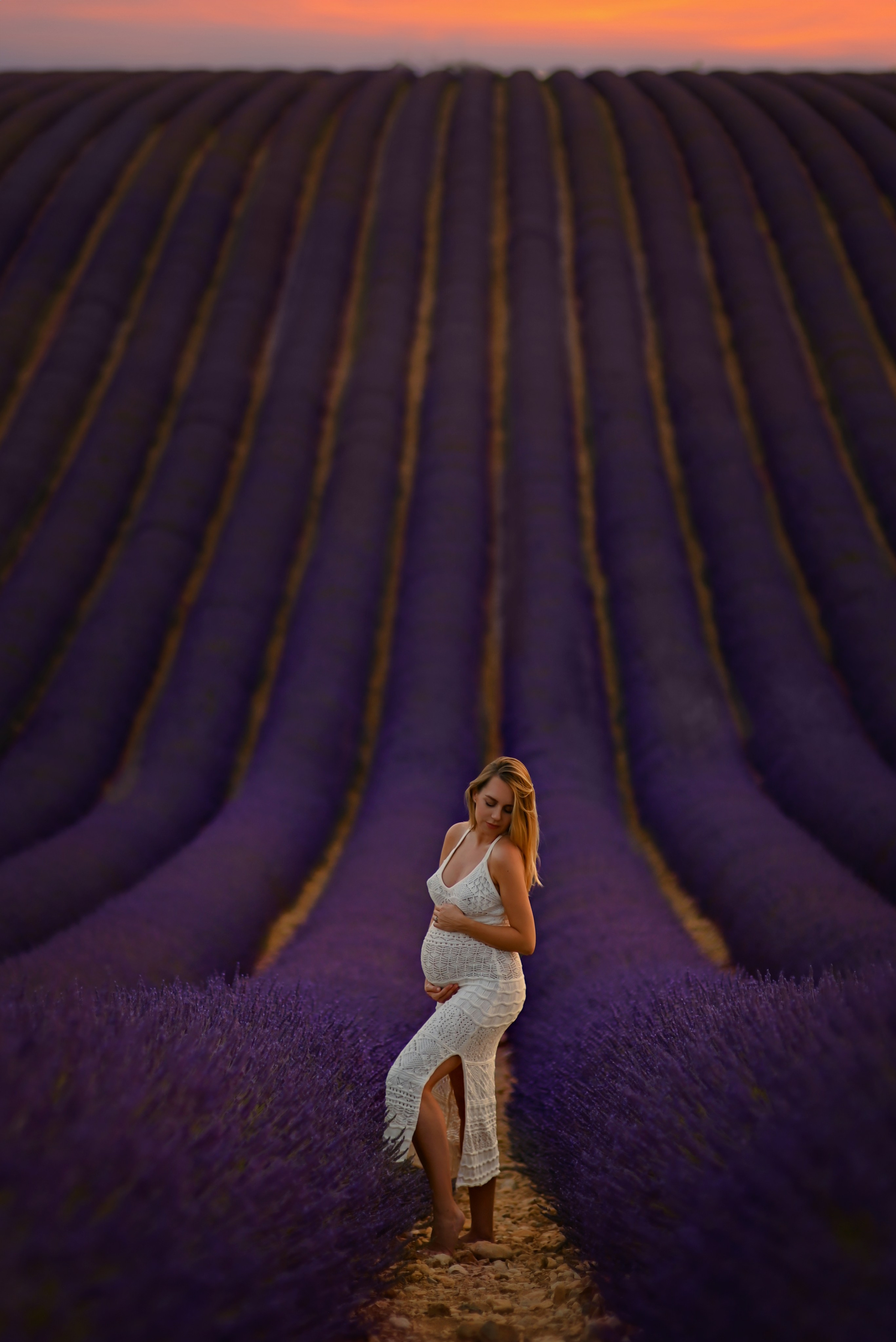 Lavender. Photographer in Provence Julia Lipiainen