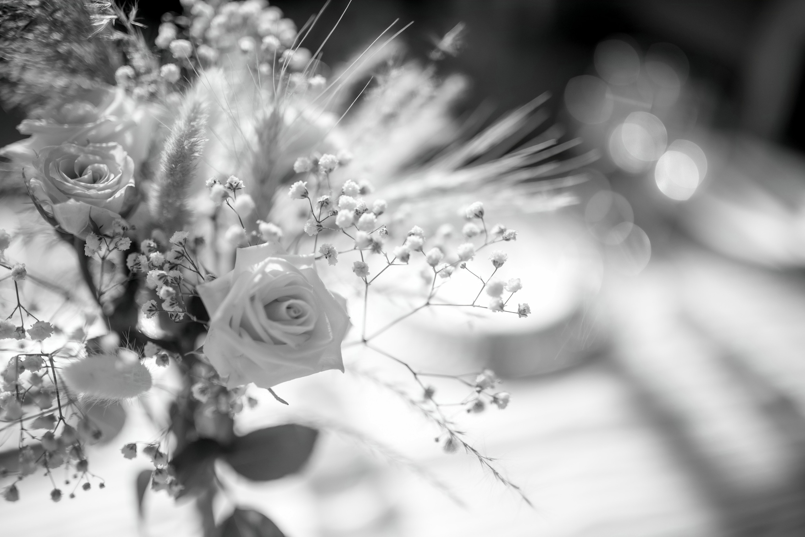 Рифкат и Виктория 20/07/2024. Свадебный и семейный фотограф в Севастополе и в Крыму Анастасия Корчак