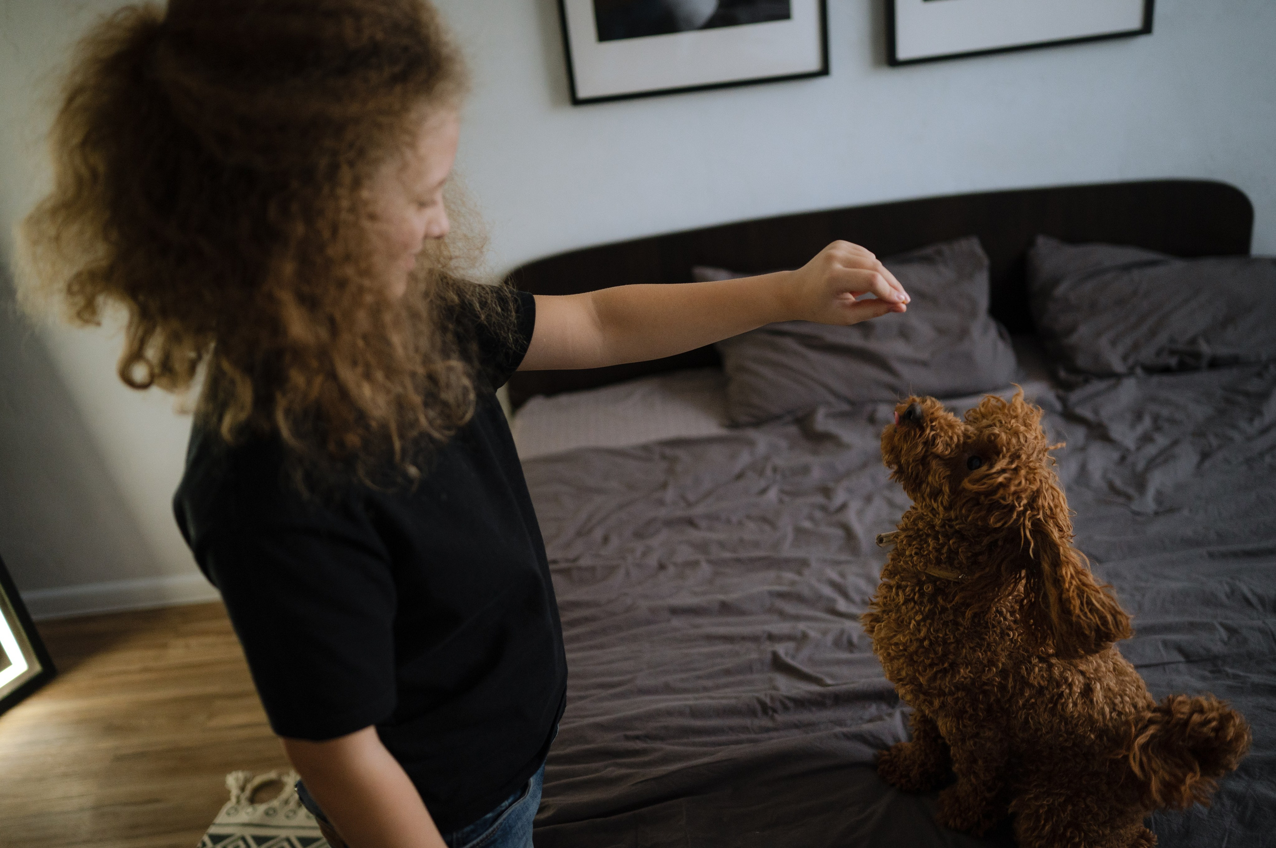 Кирилл и Света, домашняя. Фотограф Красноярск Екатерина Карпеза