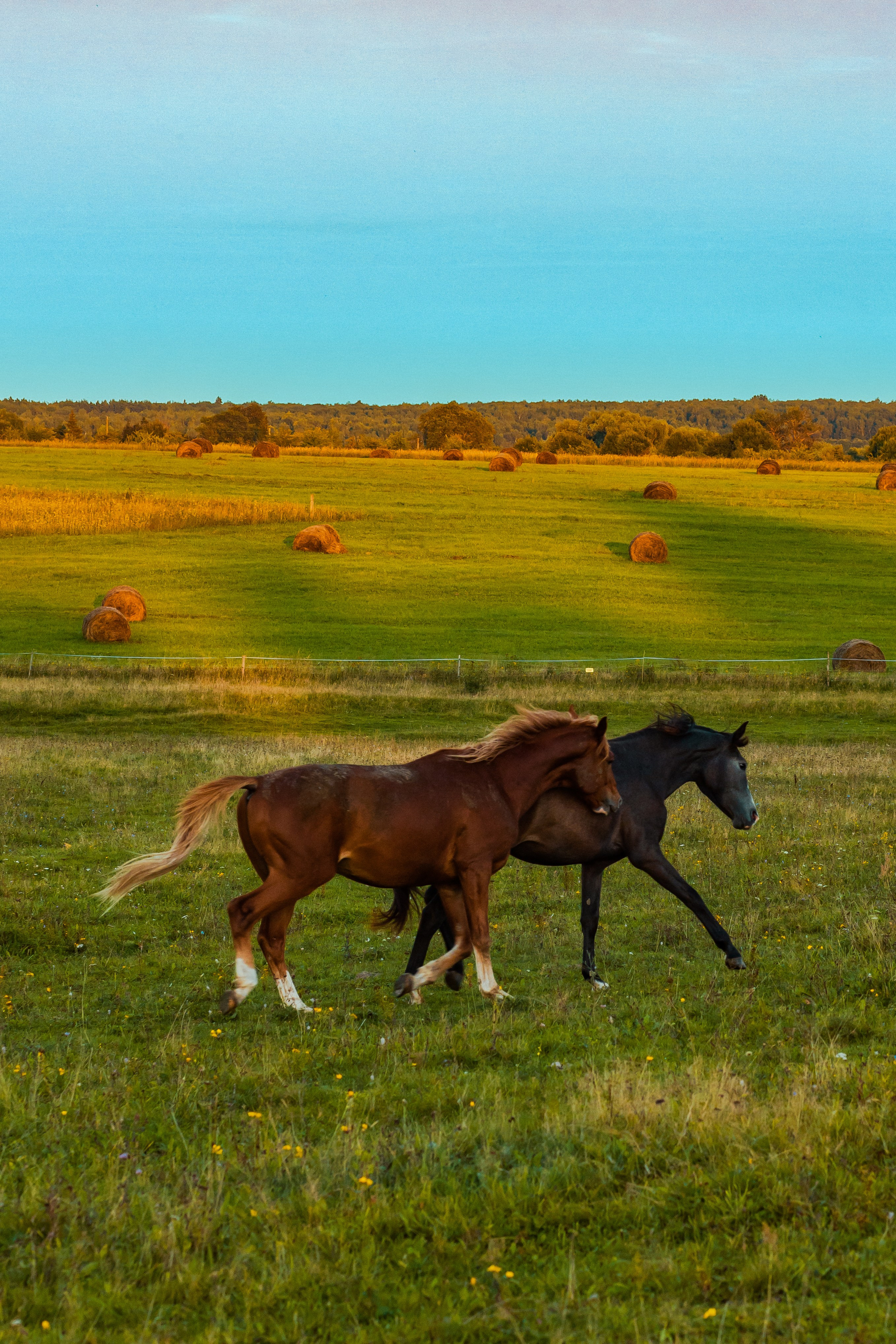 Деревня Мишнево | Калужская область. Папка кадров 📁