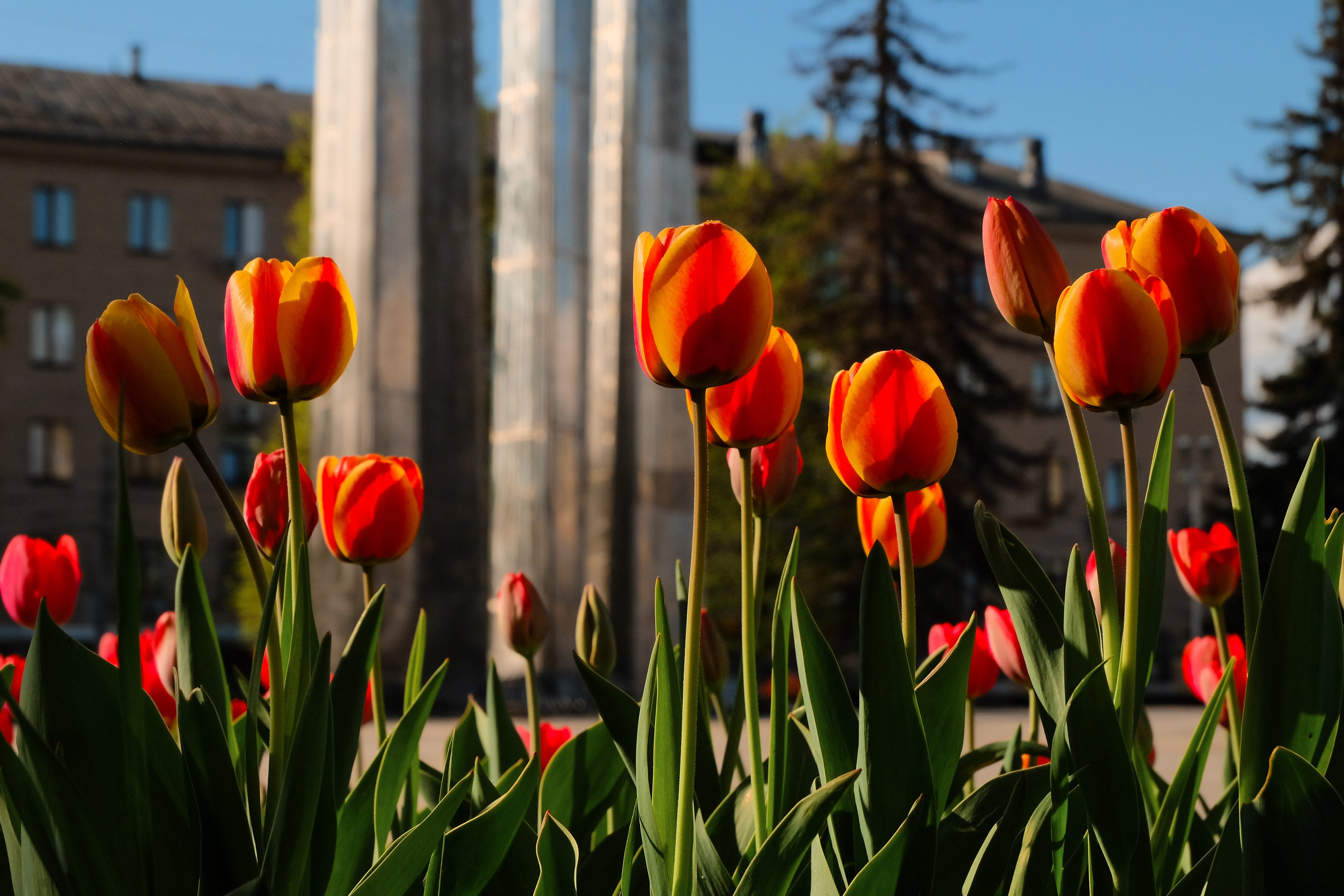 Площадь Победы. Фотограф и видеооператор в Туле | Даниил Рыбак