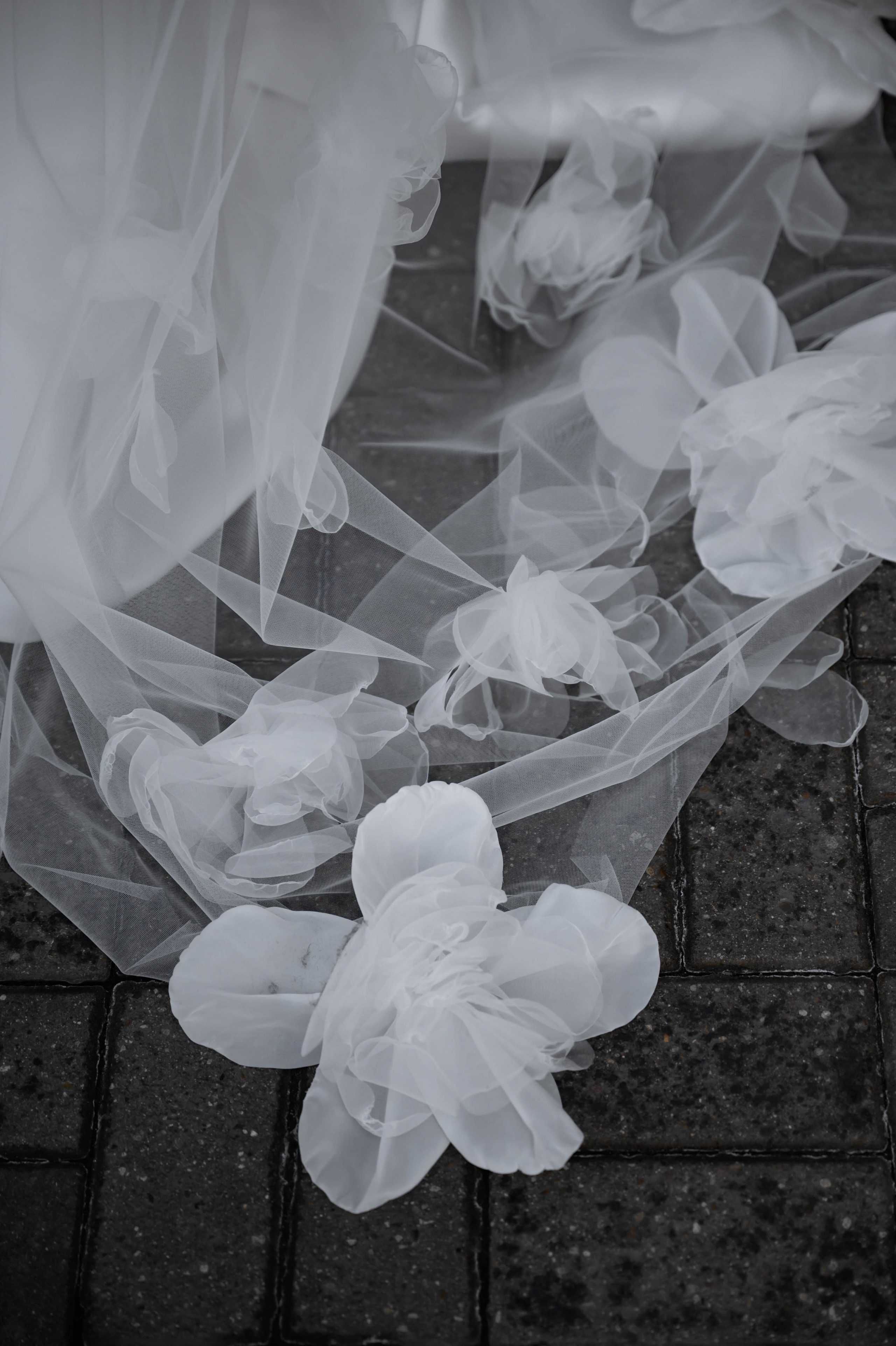 27.07.2024. RETOUCH-HOUSE