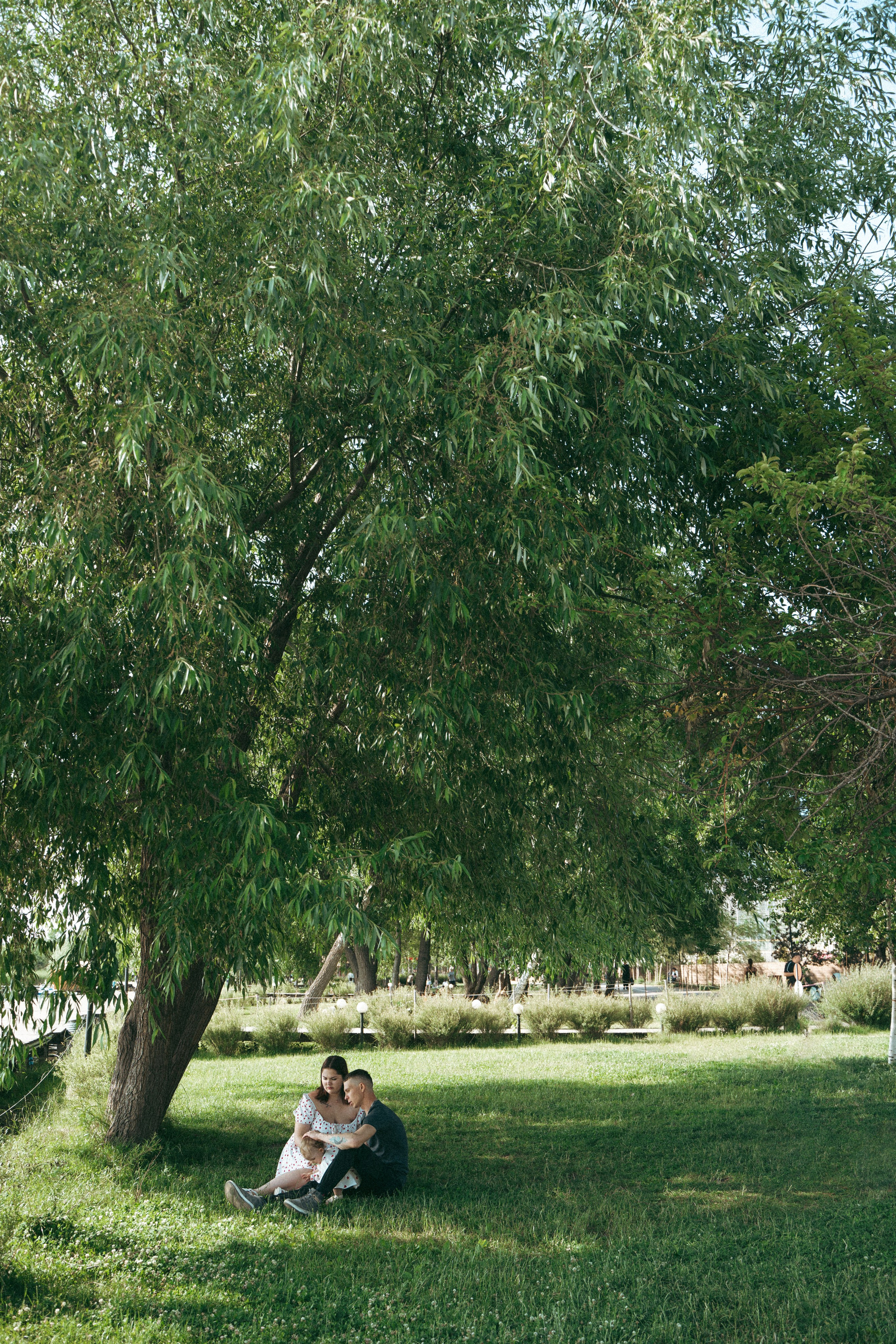 Дельфин парк. Фотограф Мария Зайчик