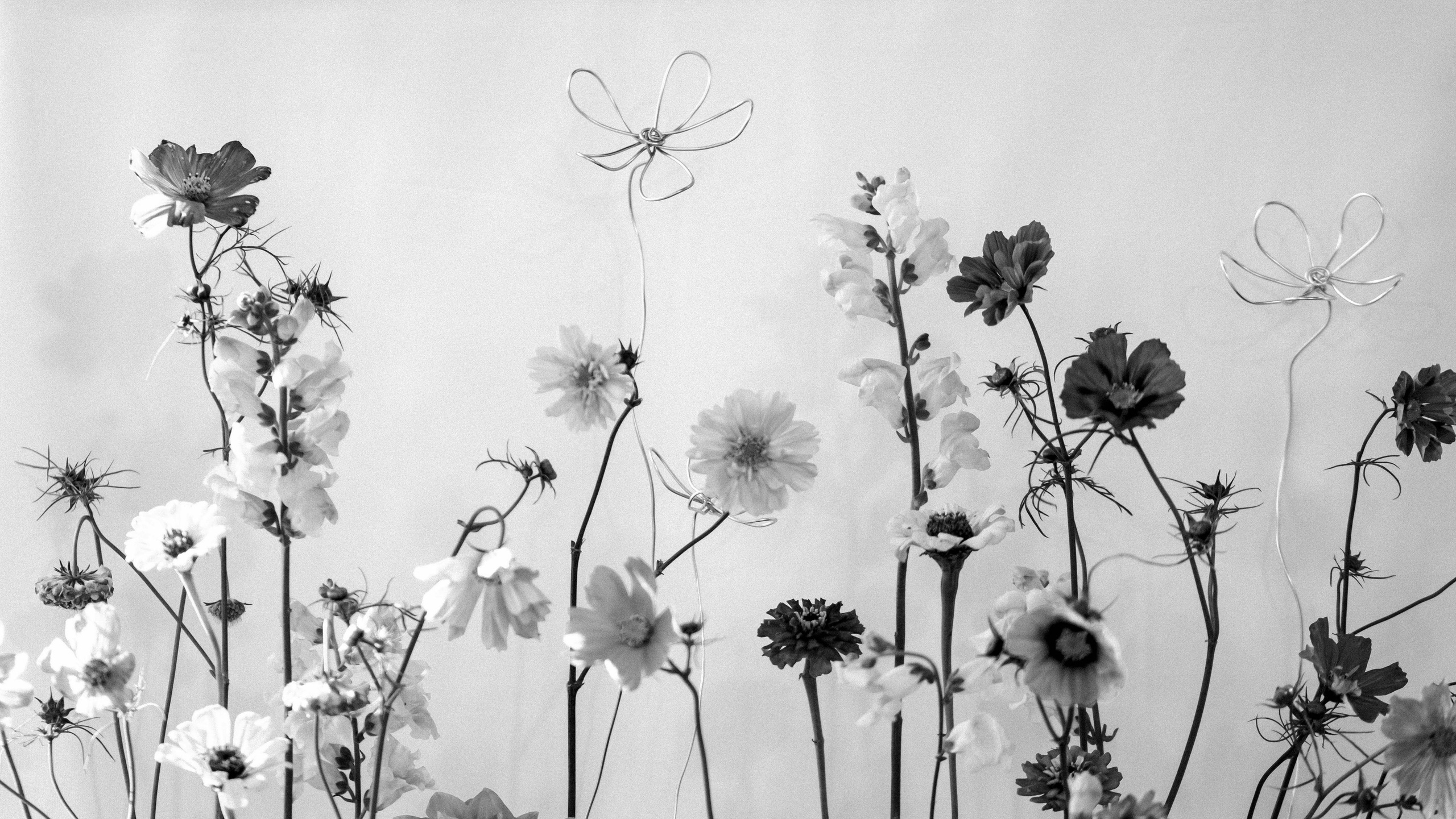 Луковка и Человеки. Константин Суриков свадебный фотограф Санкт-Петербург