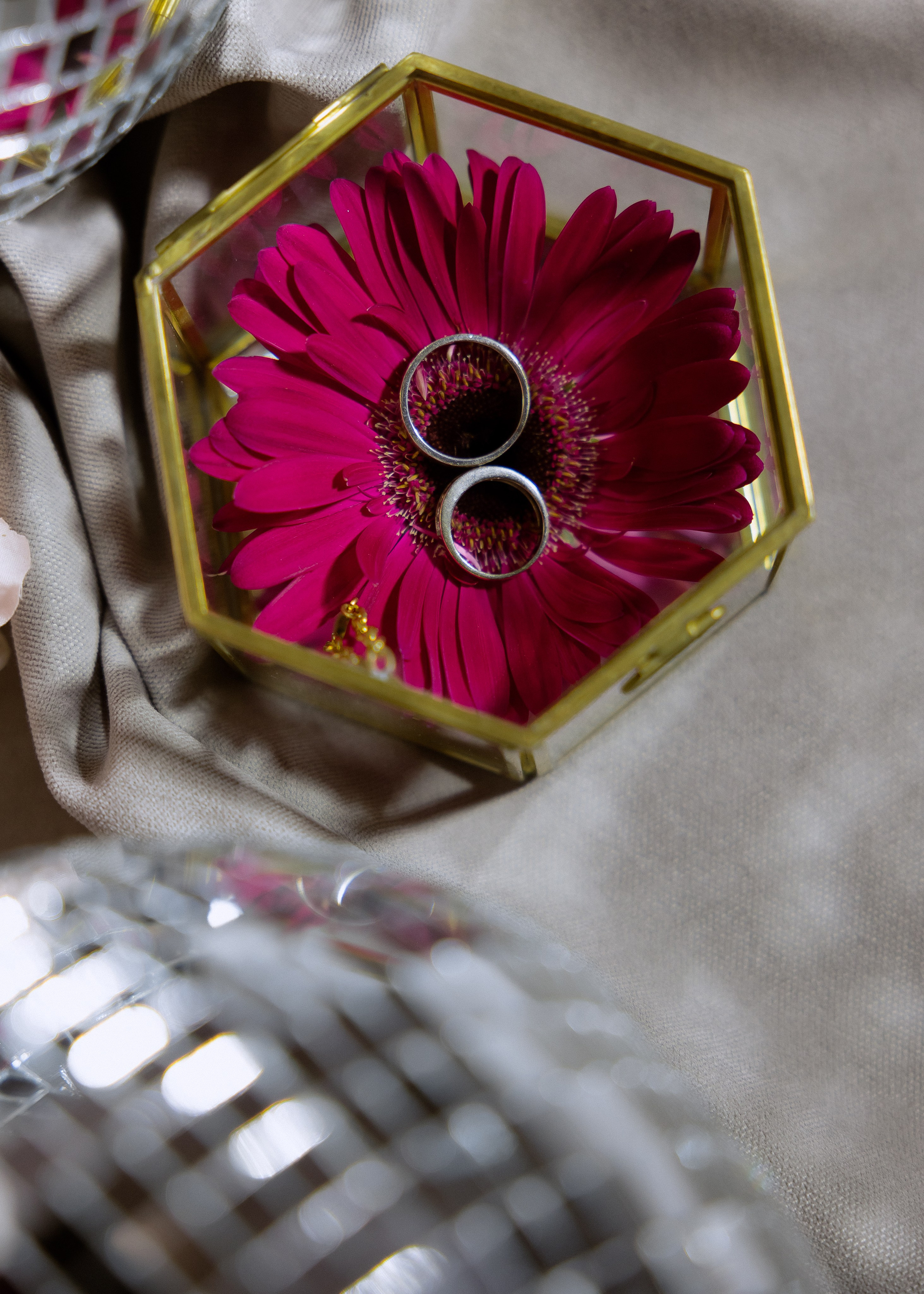 Дмитрий и Алита. Фотограф Эмиль Исякаев