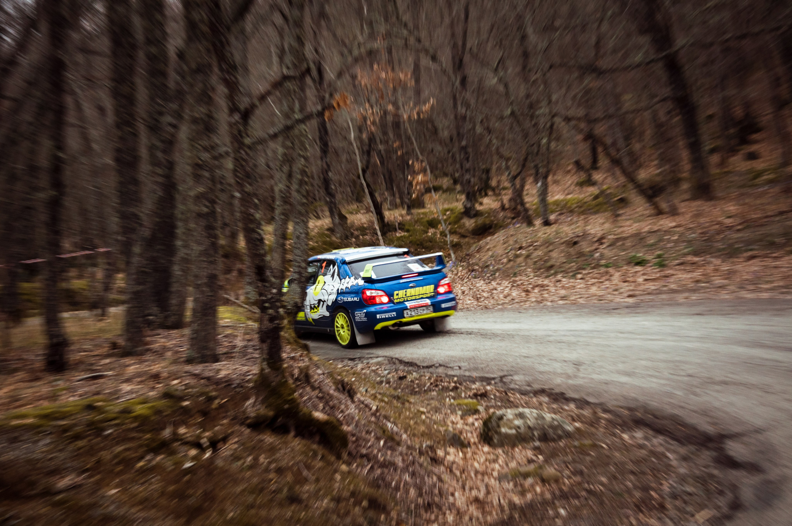 Кастель-2026. Репортажный фотограф в Симферополе Зареев Иван