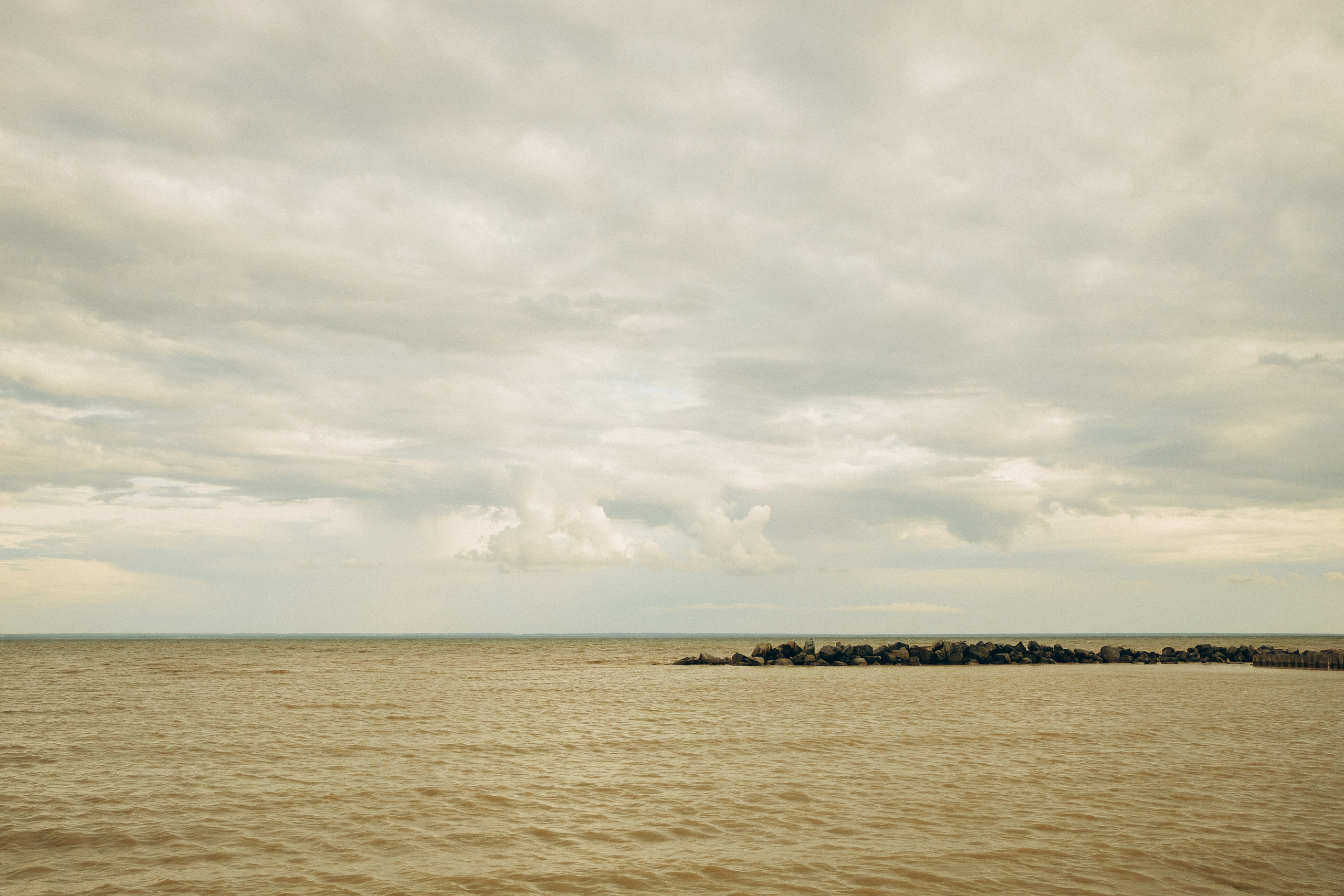 На природе. Семейный фотограф Новосибирск Фотограф на выписку Новосибирск