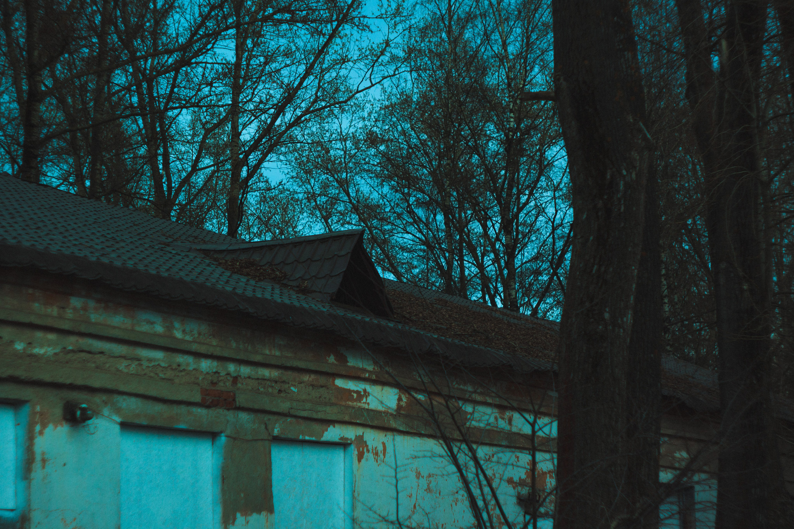 База. Den Mirov — Фотограф, Музыкант