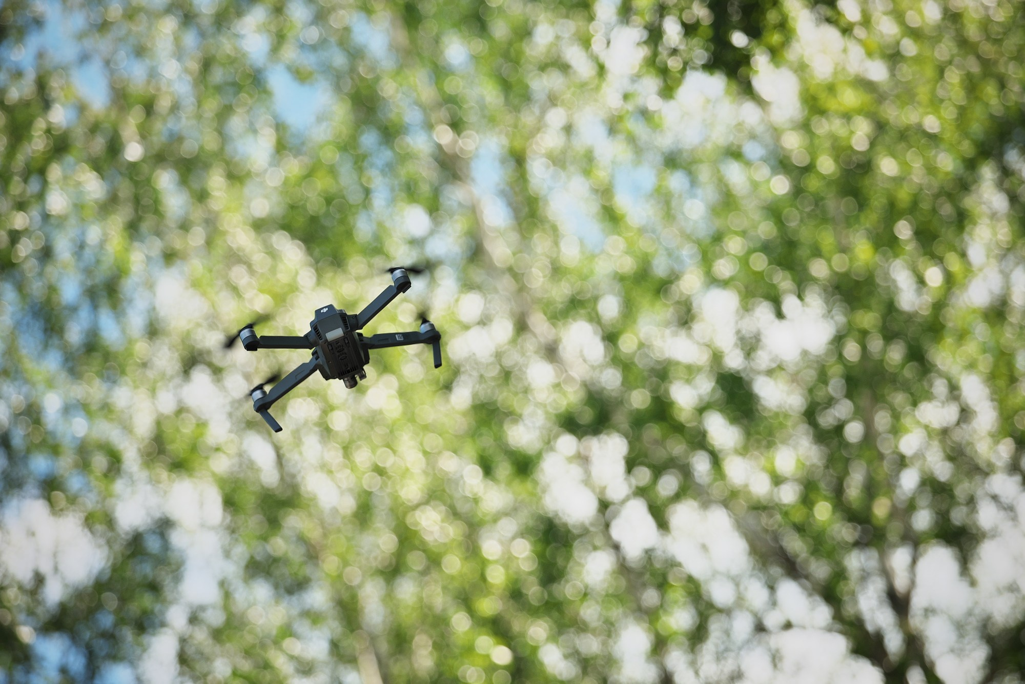 Таня и Михаил. Ak-fotovideo.ru