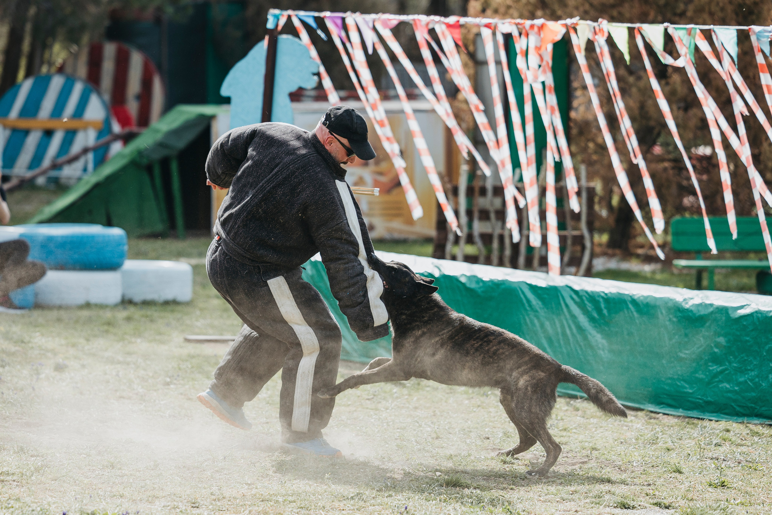 Геленджик Мондьоринг. Фотограф-анималист Анна Маринич