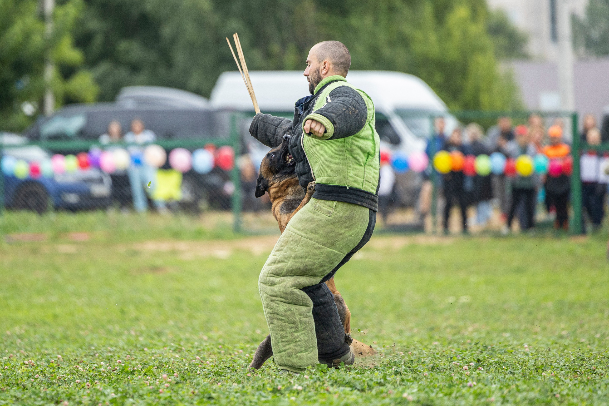 Соревнования по Мондьорингу г. Вологда 10-11.08.2024. Фотограф-анималист Анна Маринич