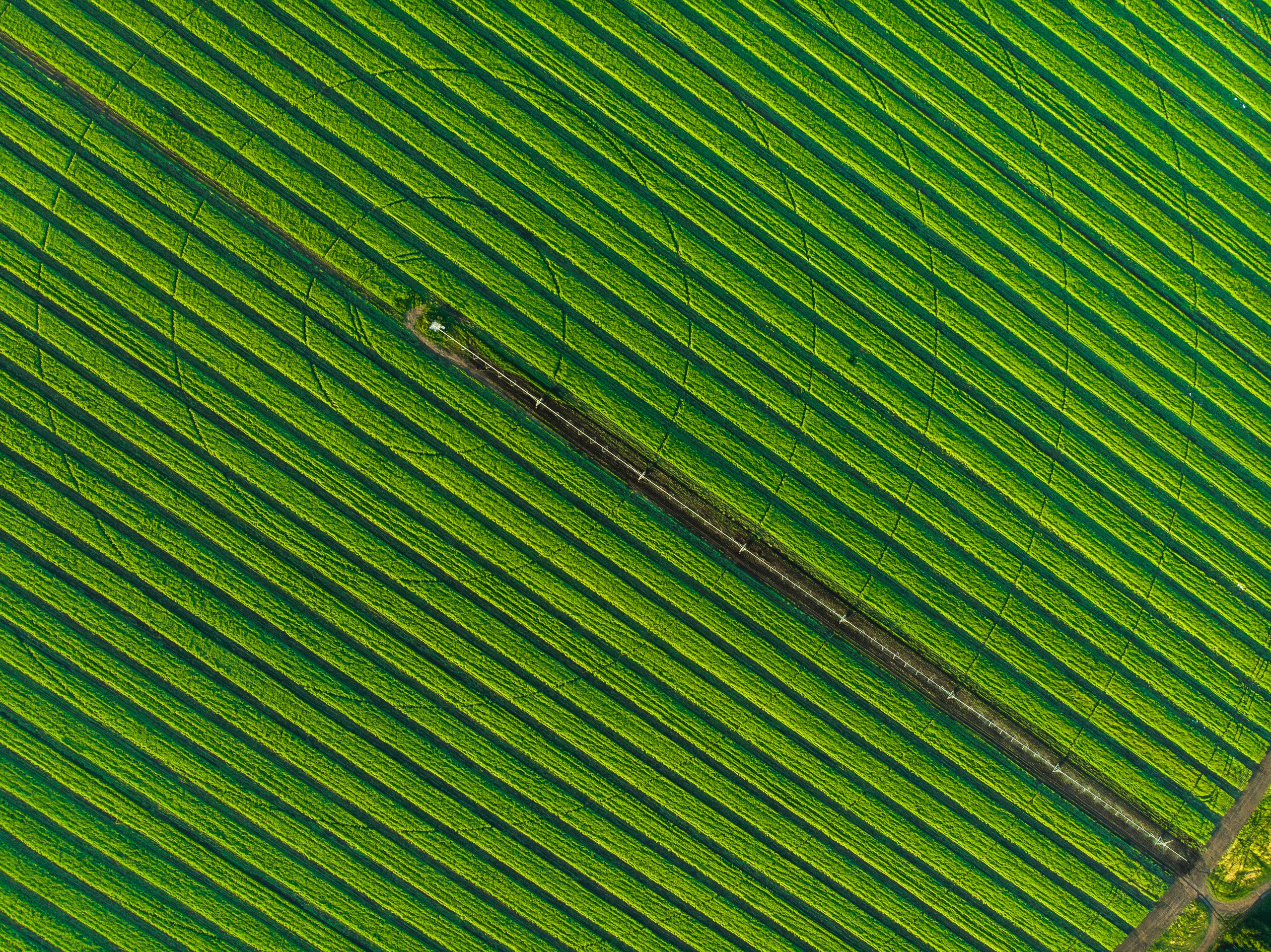 Селиваново. Николай Брытков — фотограф в Туле