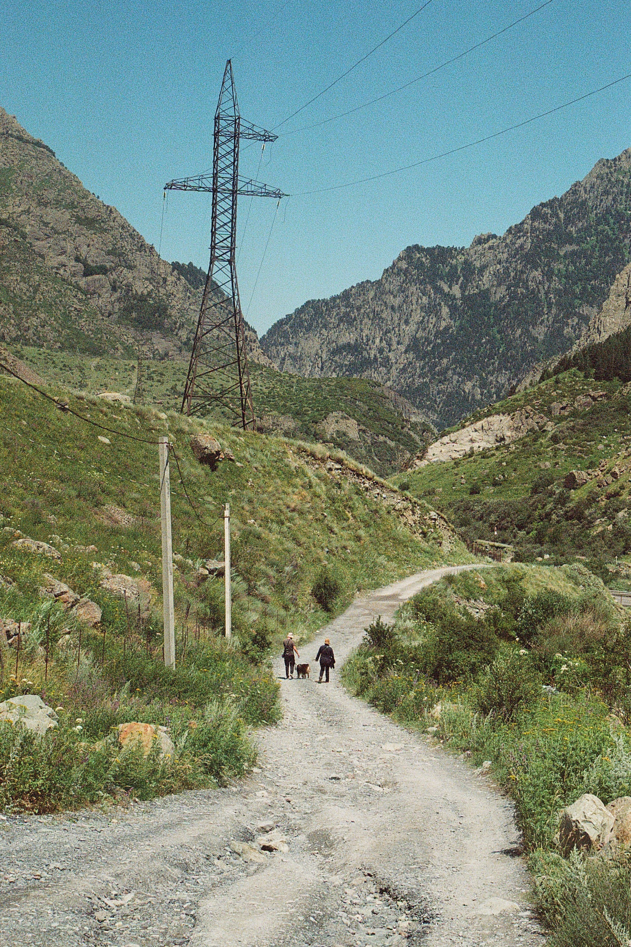 ГРУЗИЯ. ПРИРОДА.25. Профессиональный фотограф Федотова Арина