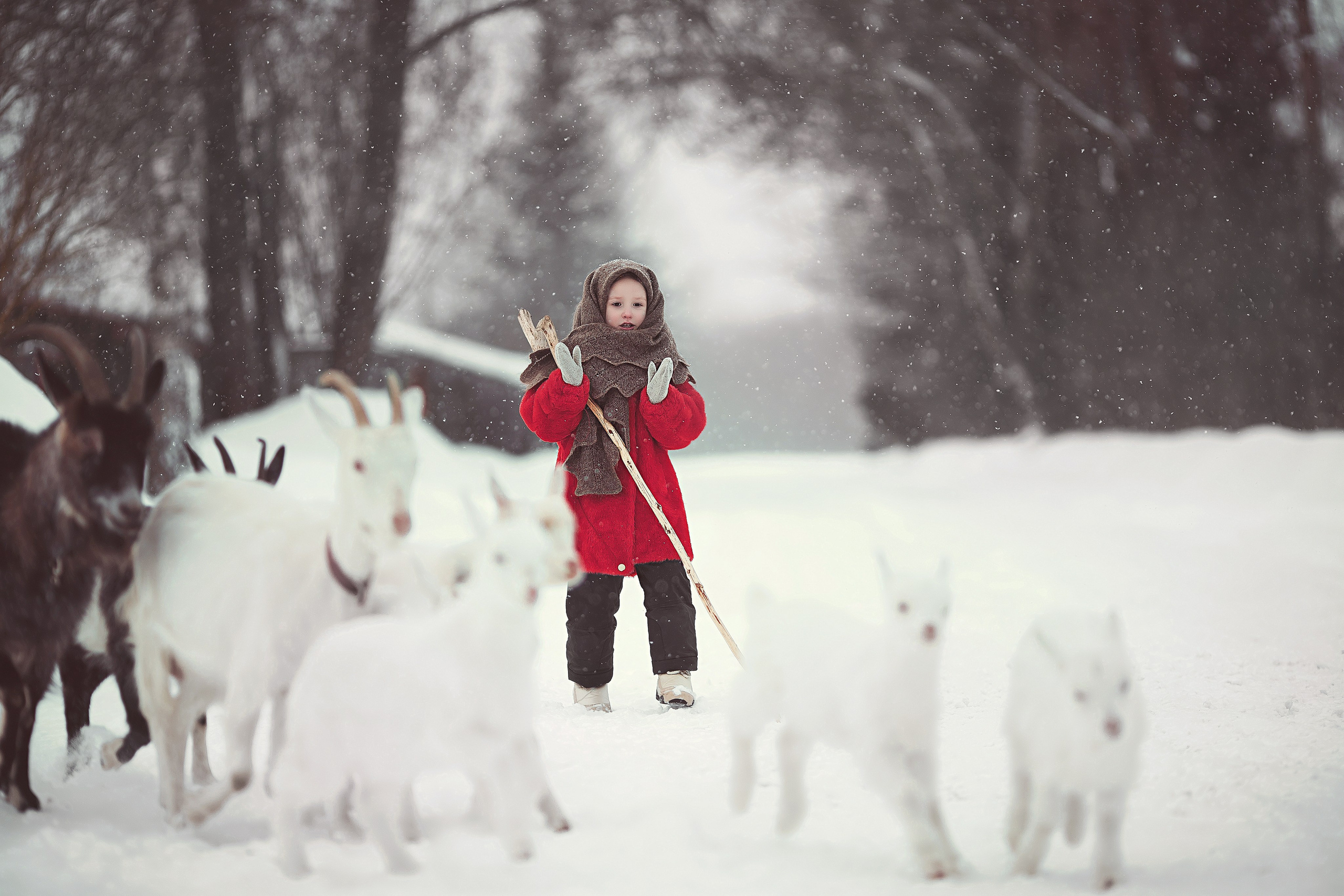 Дети. Фотограф Александр Калинин