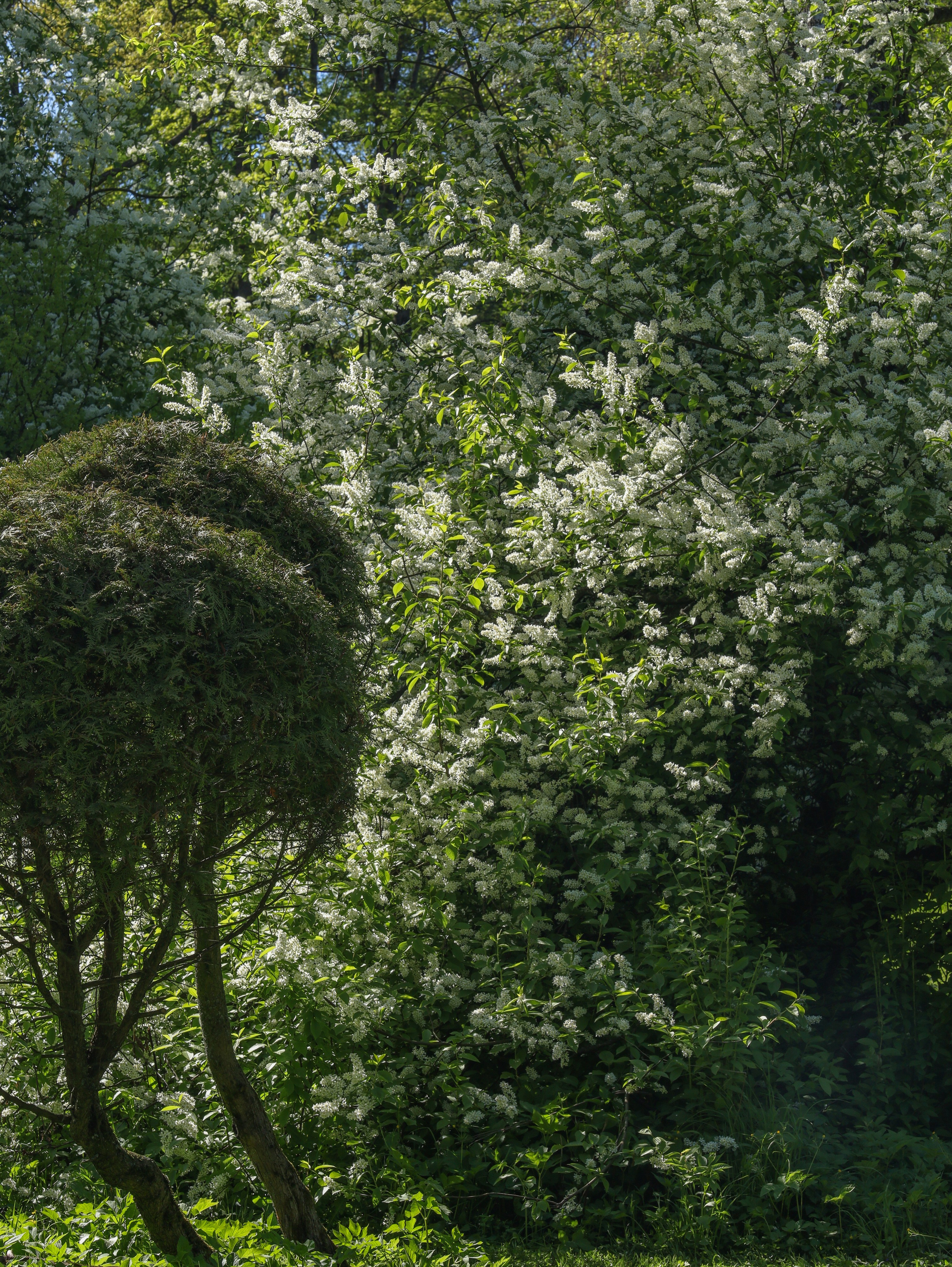 Природа &. Фотохудожник в СПб