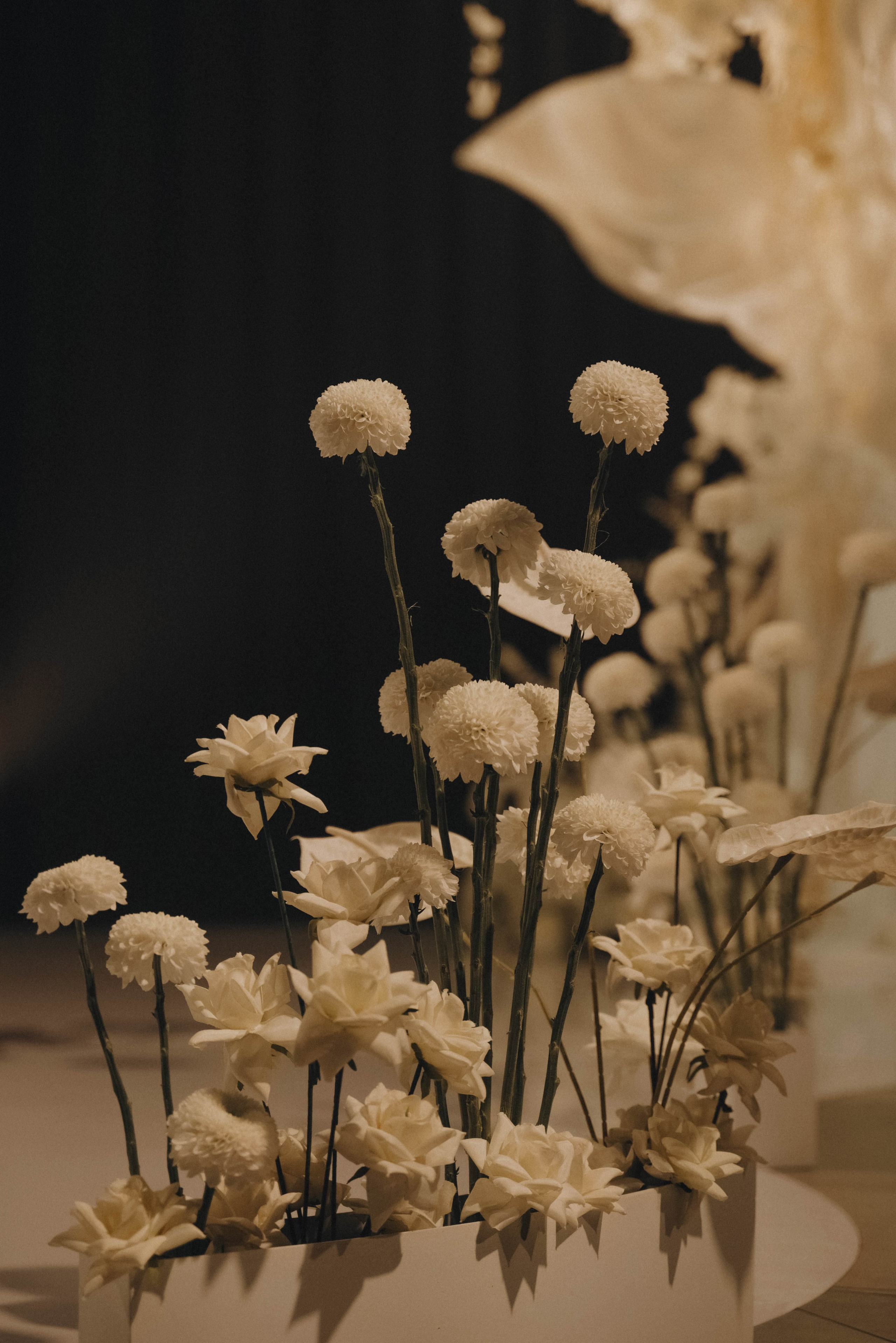 ДЕРЖИ МЕНЯ ЗА РУКУ. Фотограф в Тюмени Марьяна Чирикова