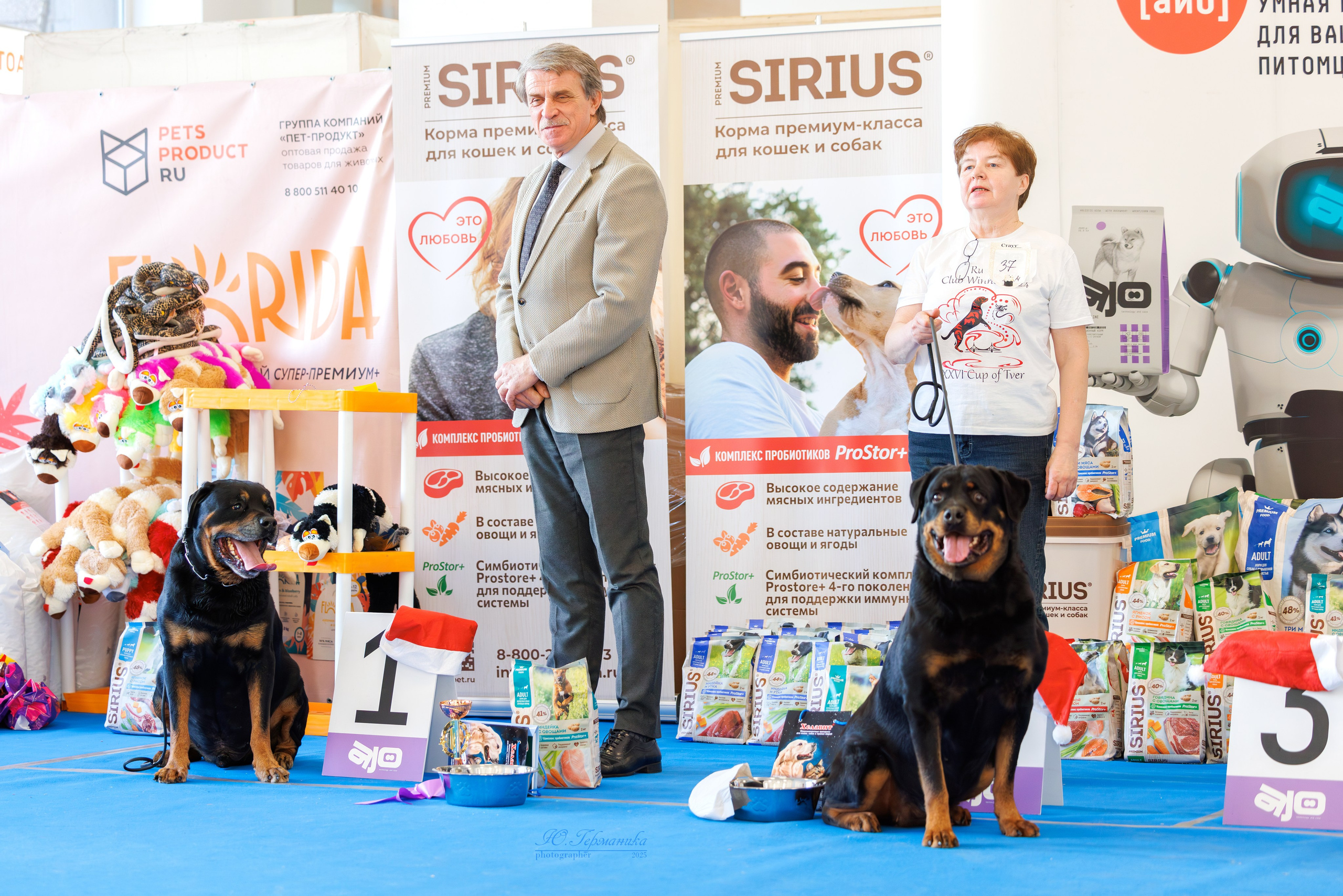 Питер ротвейлеры 18.01,Крокус 19.01.2025. Фотограф-анималист Юлия Германика
