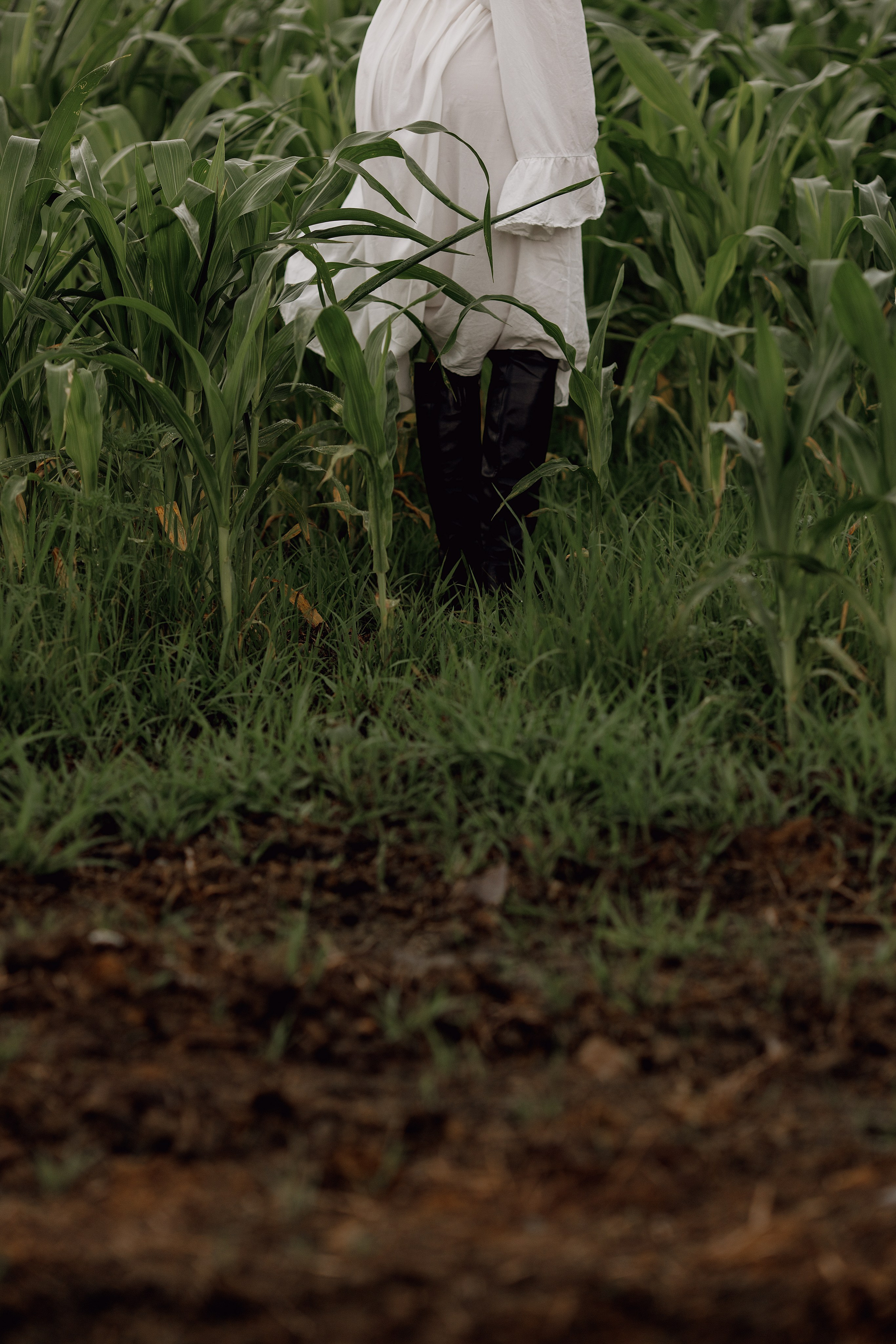 Вечерняя прогулка в поле. Свадебный фотограф Санкт-Петербург  Москва
