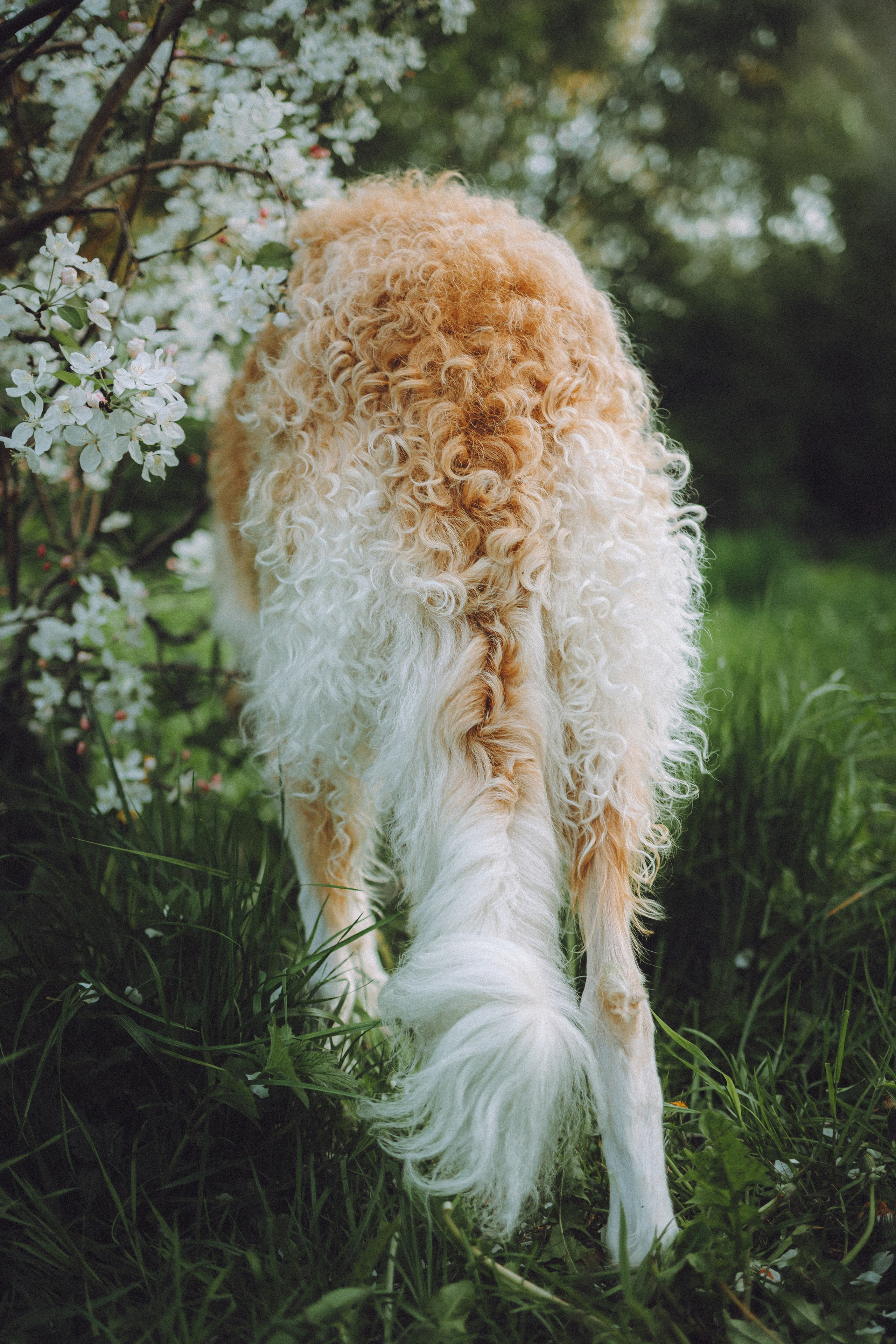 Илай, Зайка и их семья