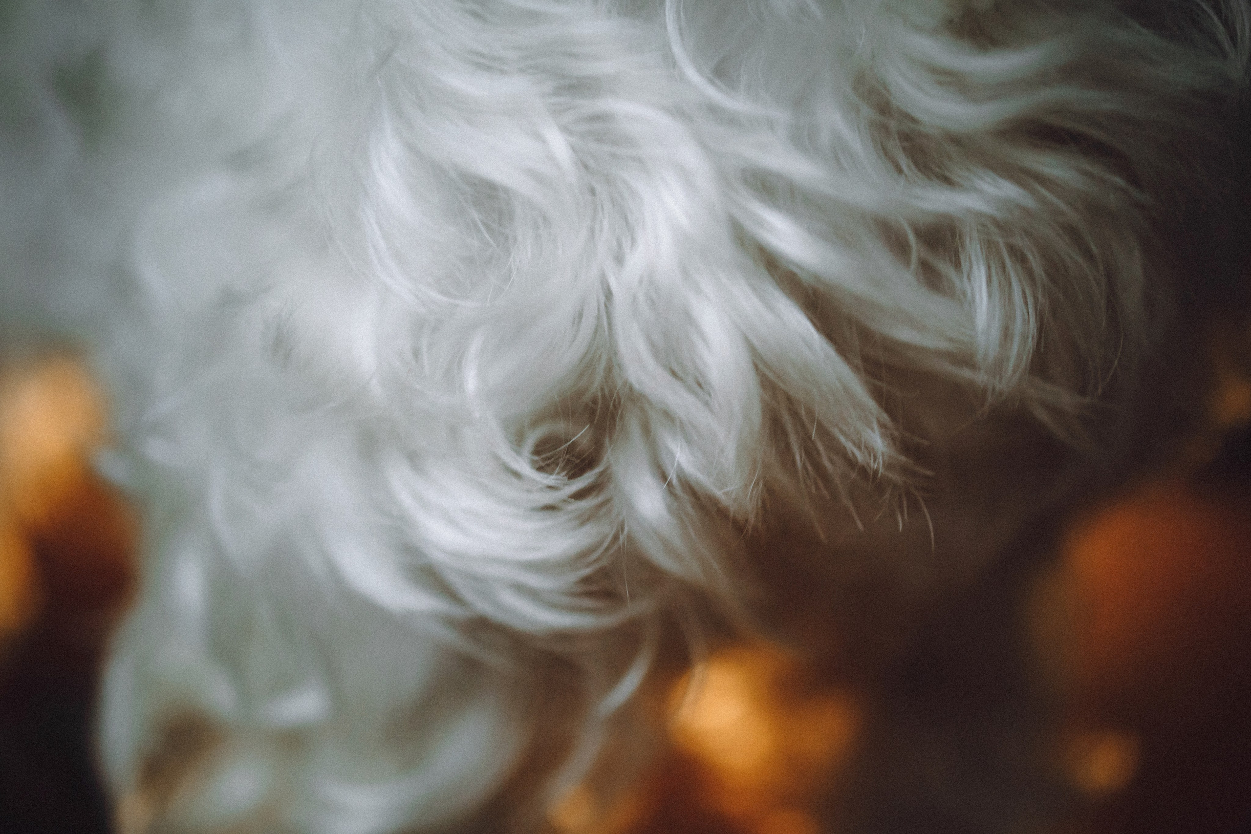 Вика, Глеб и Тори