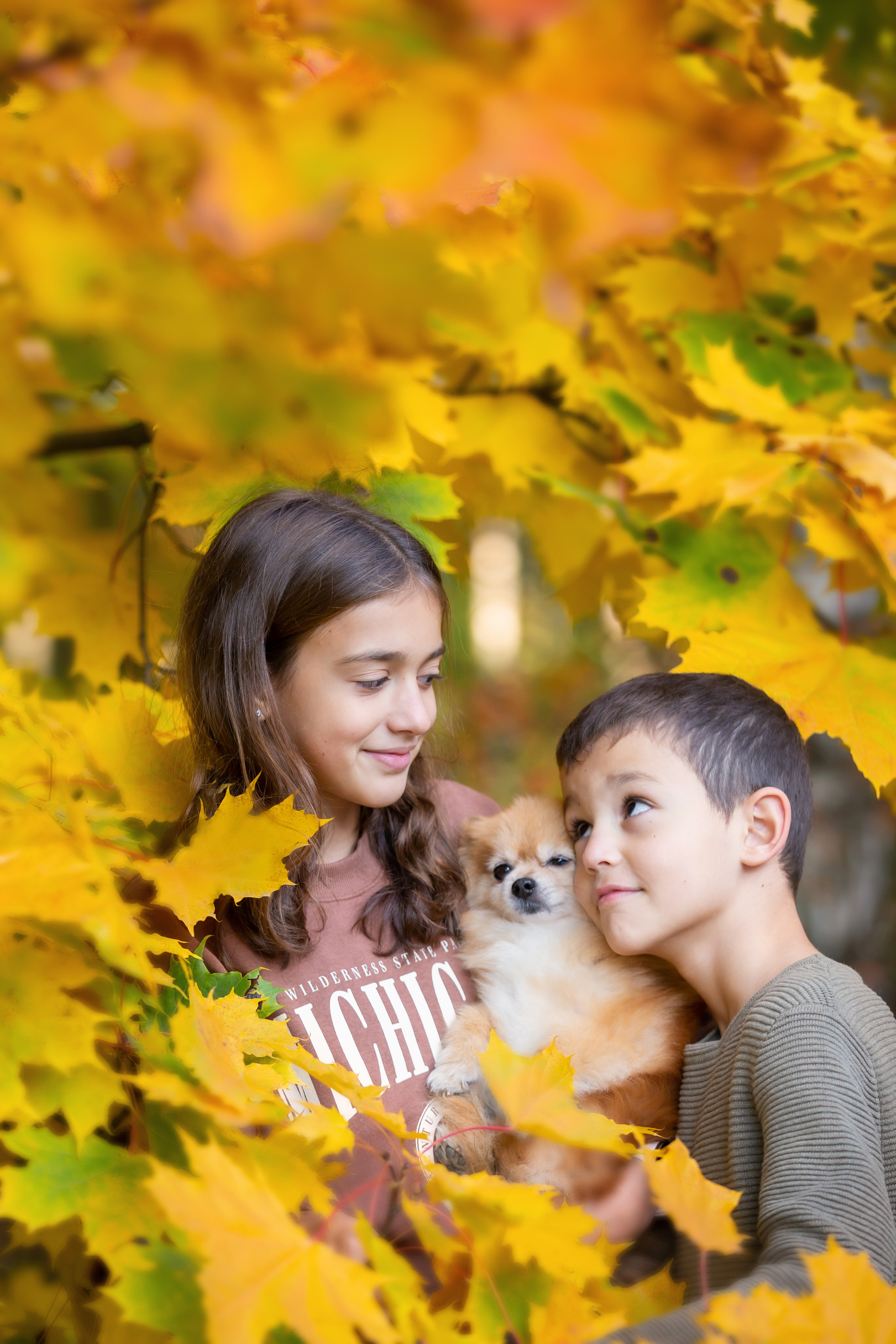 Фотограф Юлия Хоменко. Фотостудия во Всеволожске. Подходит для всех творческих проектов