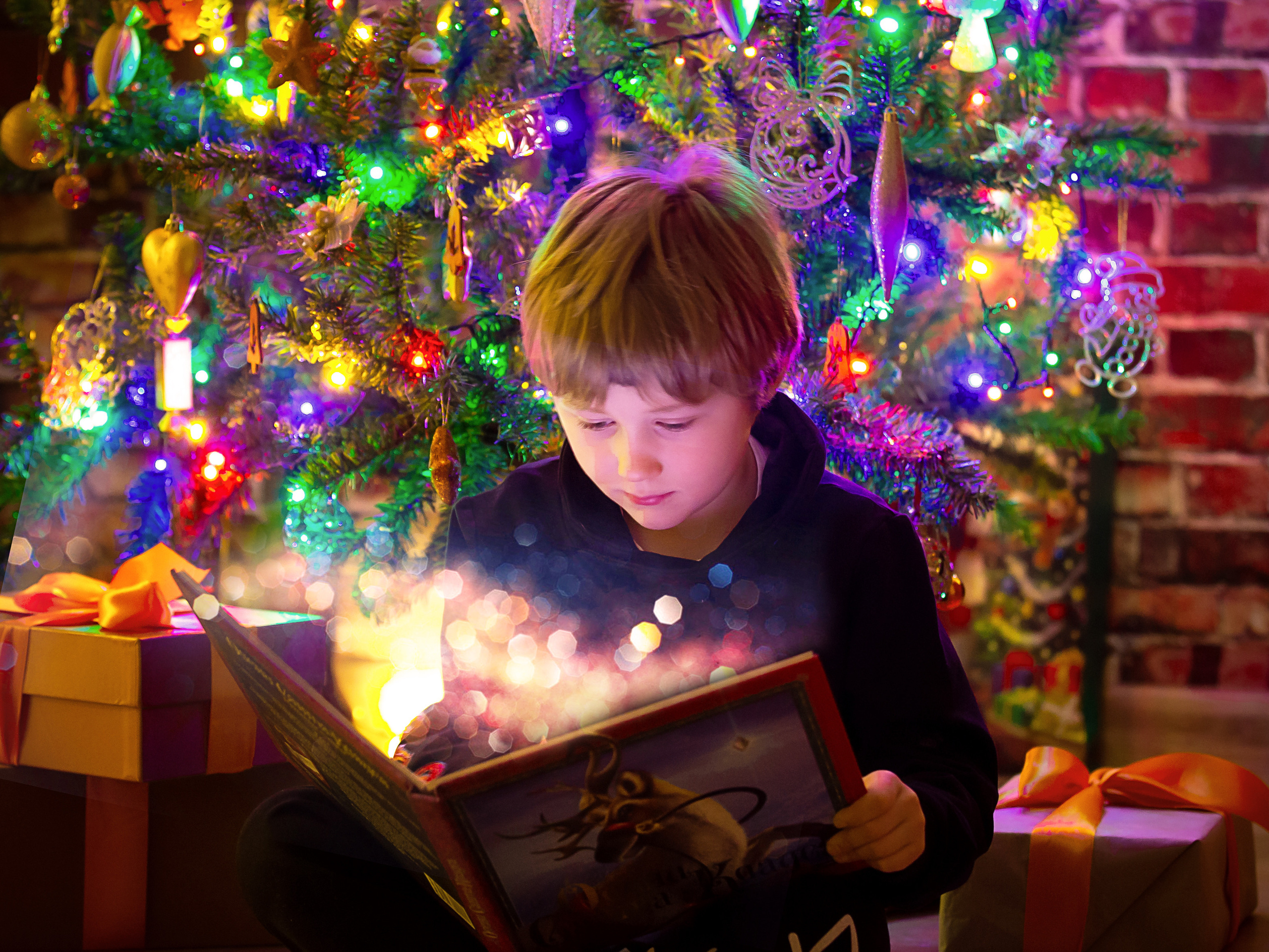 Фотограф Юлия Хоменко. Фотостудия во Всеволожске. Подходит для всех творческих проектов